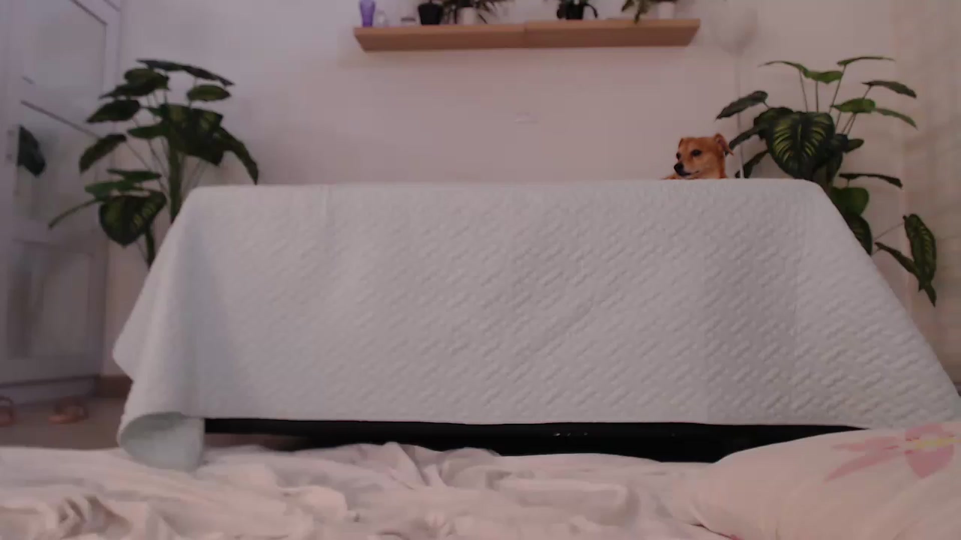 Gallery image thumbnail from AngelaMar's myfreecams stream on, 06/13/2023, 18:13 image 7 of 20