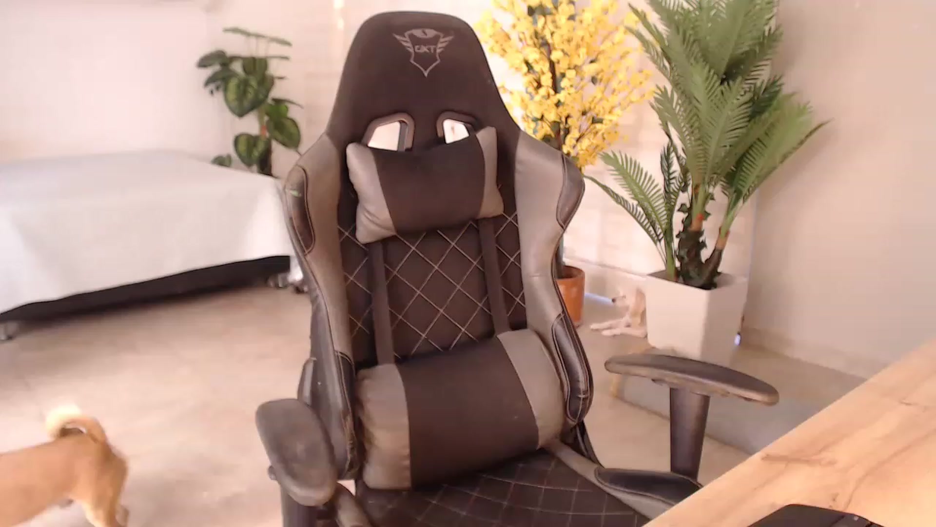 Gallery image thumbnail from AngelaMar's myfreecams stream on, 07/13/2023, 19:16 image 19 of 20