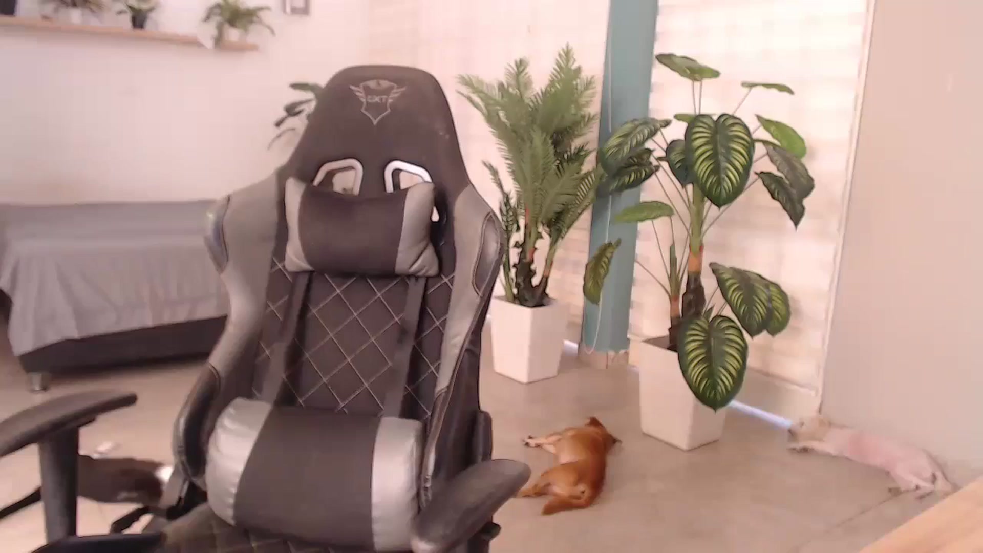 Gallery image thumbnail from AngelaMar's myfreecams stream on, 09/09/2023, 17:27 image 3 of 20