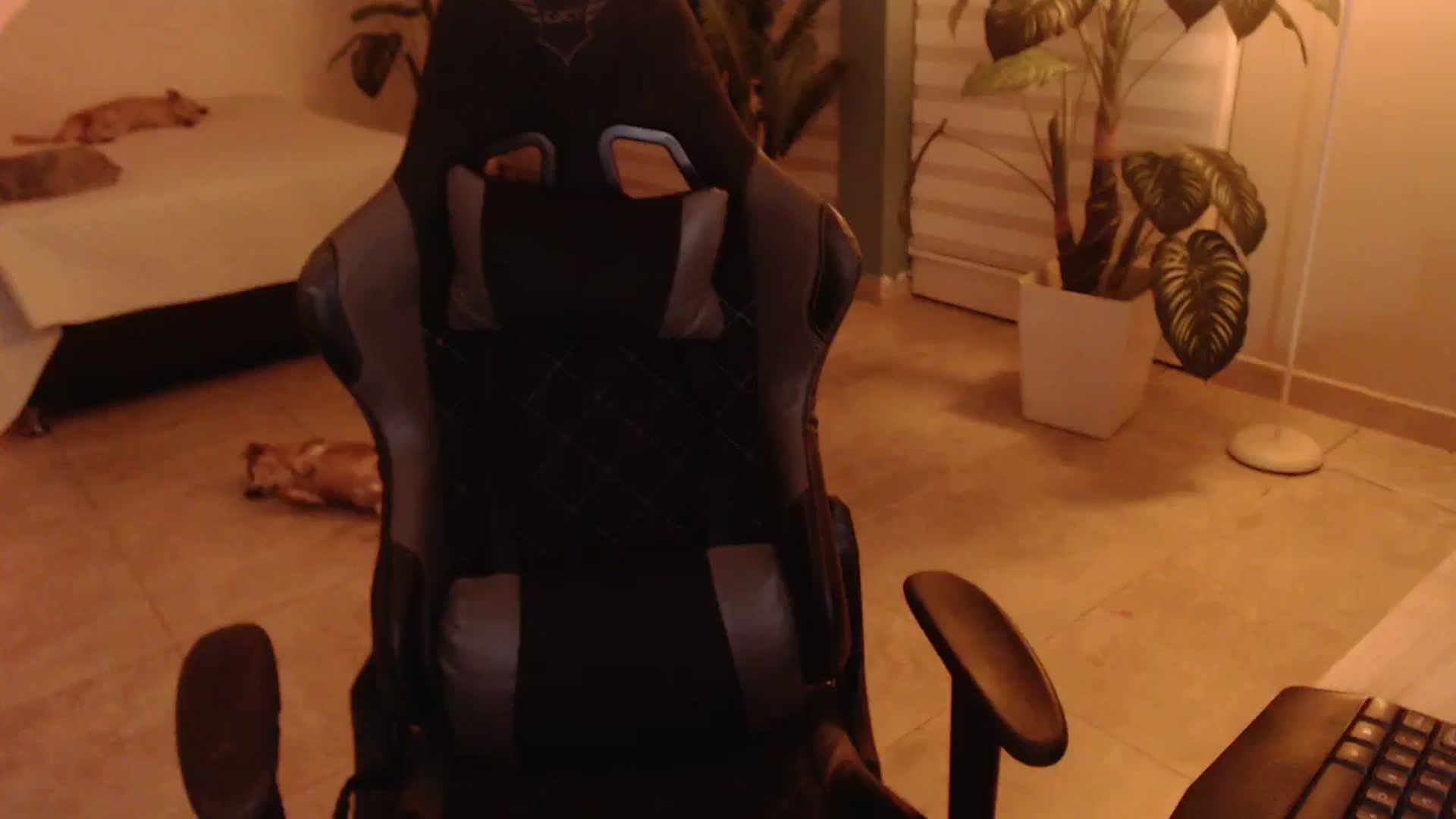 Gallery image thumbnail from AngelaMar's myfreecams stream on, 10/08/2023, 05:07 image 10 of 20
