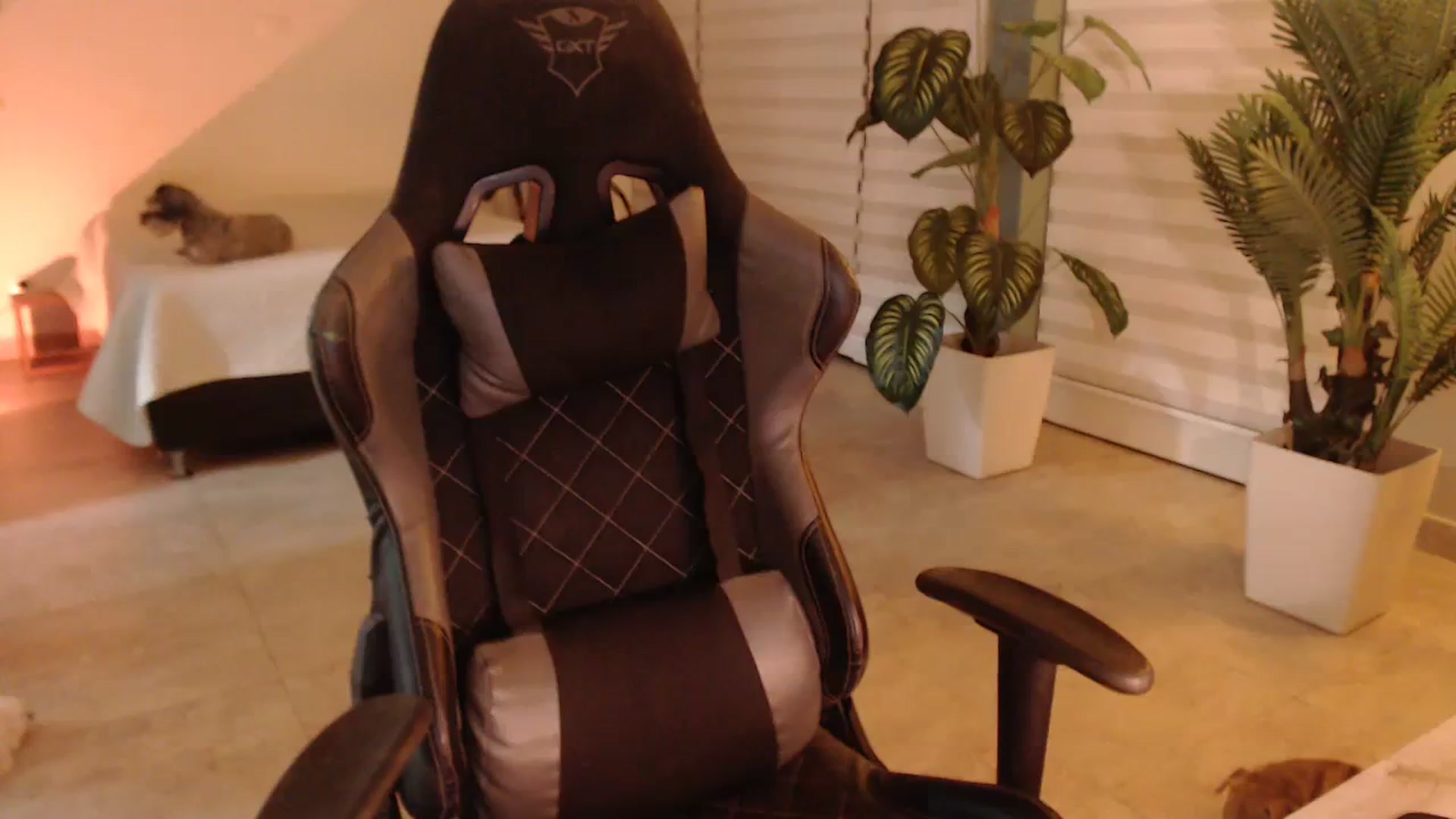 Gallery image thumbnail from AngelaMar's myfreecams stream on, 10/29/2023, 05:05 image 13 of 20