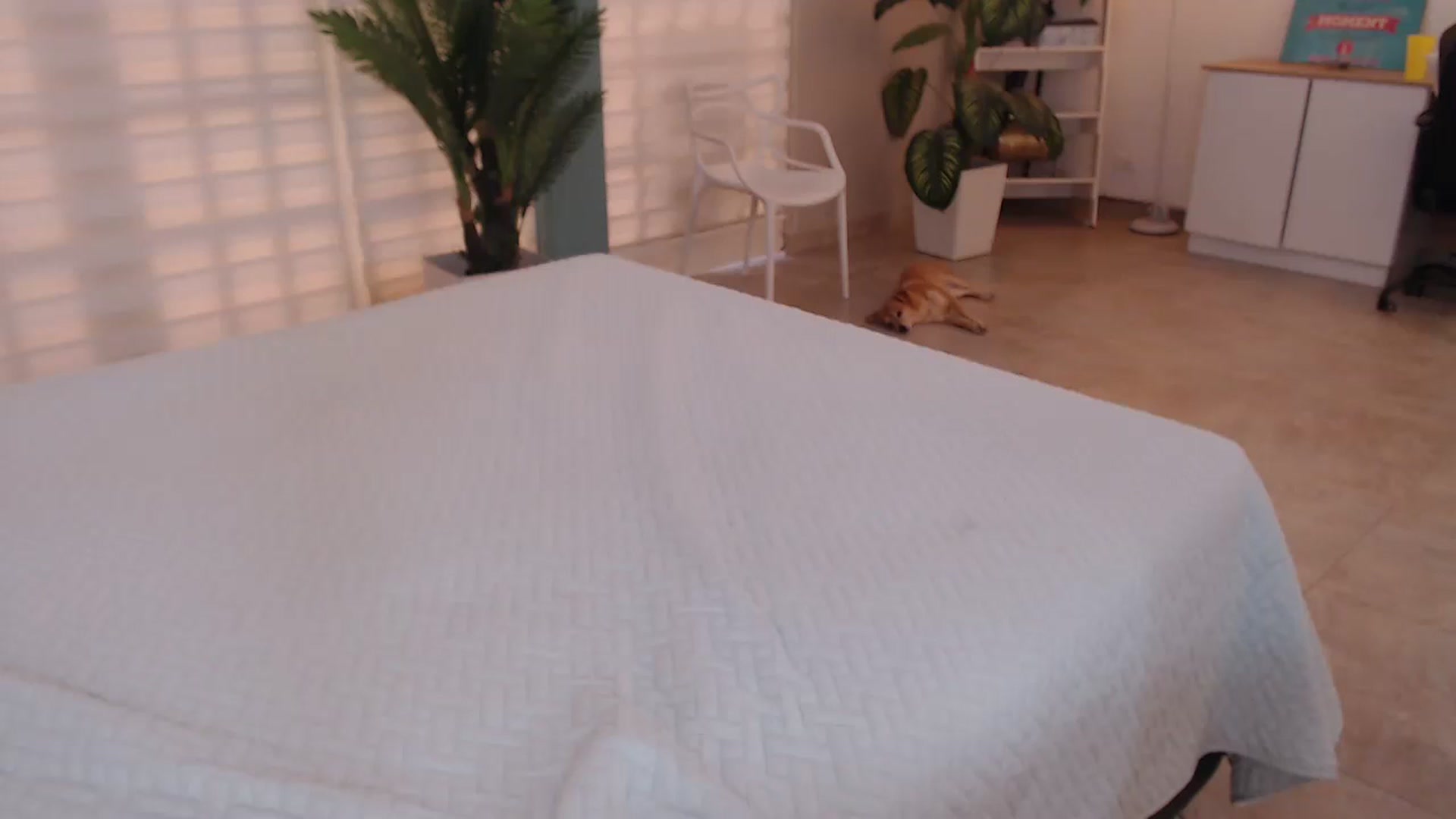 Gallery image thumbnail from AngelaMar's myfreecams stream on, 09/12/2024, 17:51 image 17 of 20