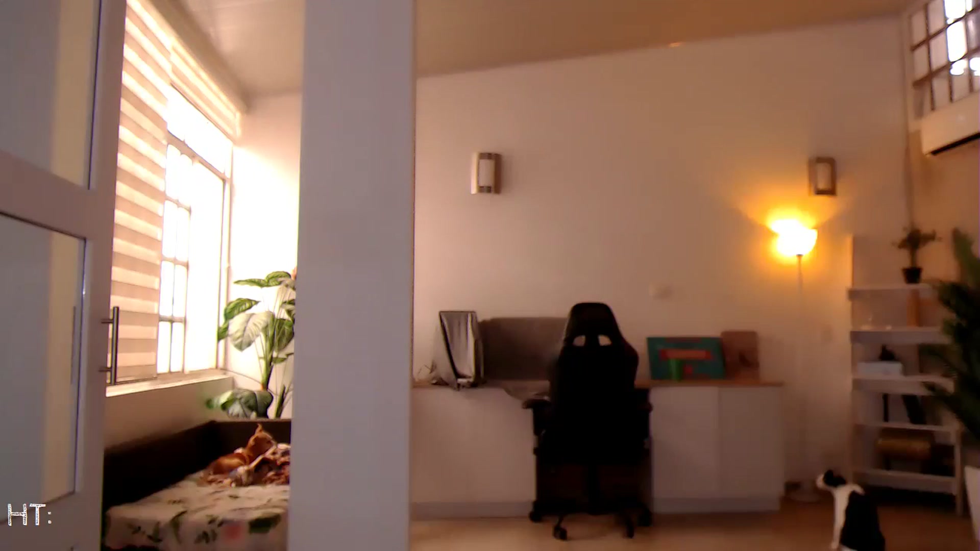 Gallery image thumbnail from AngelaMar's myfreecams stream on, 10/06/2024, 18:22 image 2 of 20