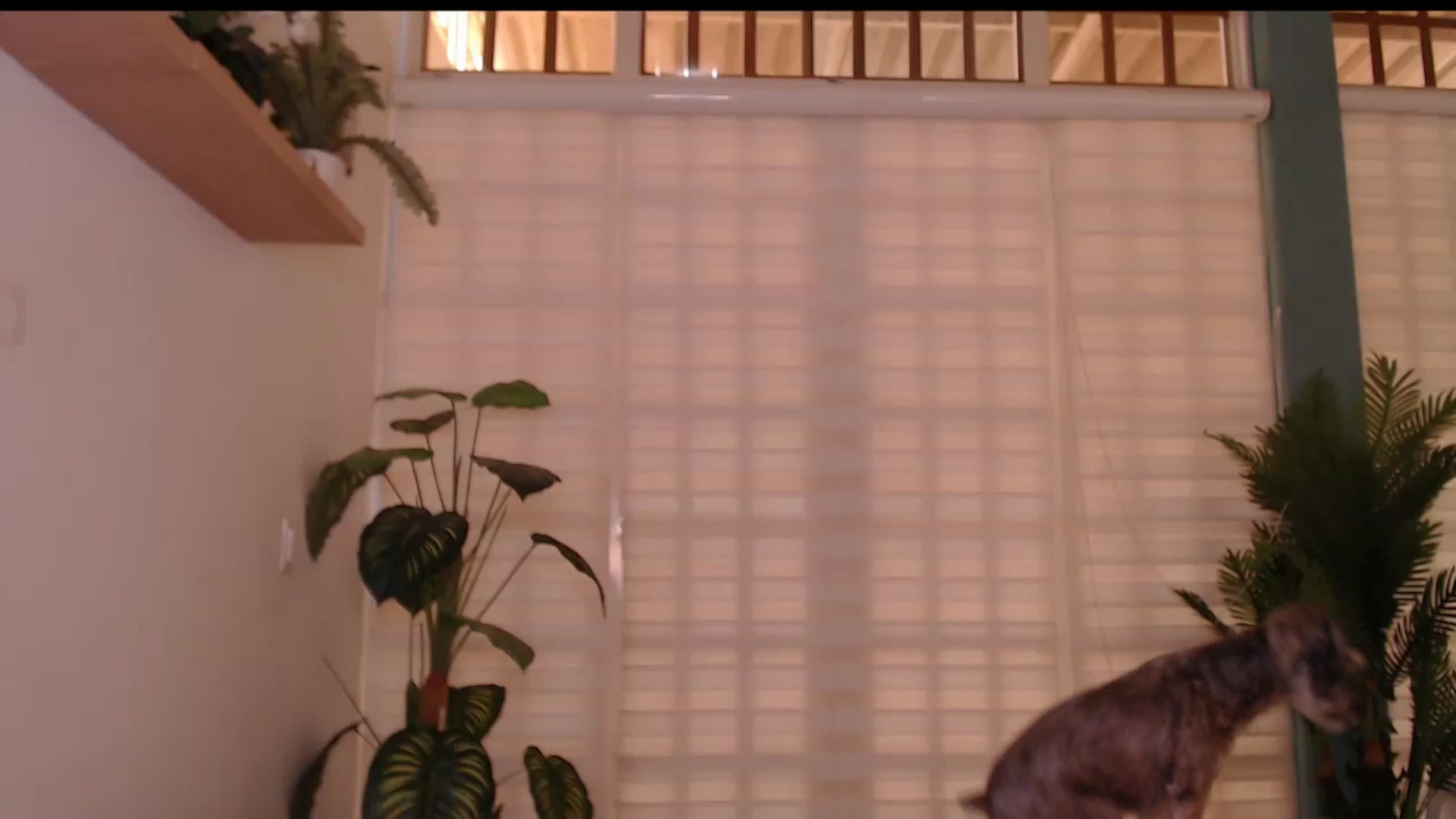 Gallery image thumbnail from AngelaMar's myfreecams stream on, 11/17/2024, 19:30 image 13 of 20