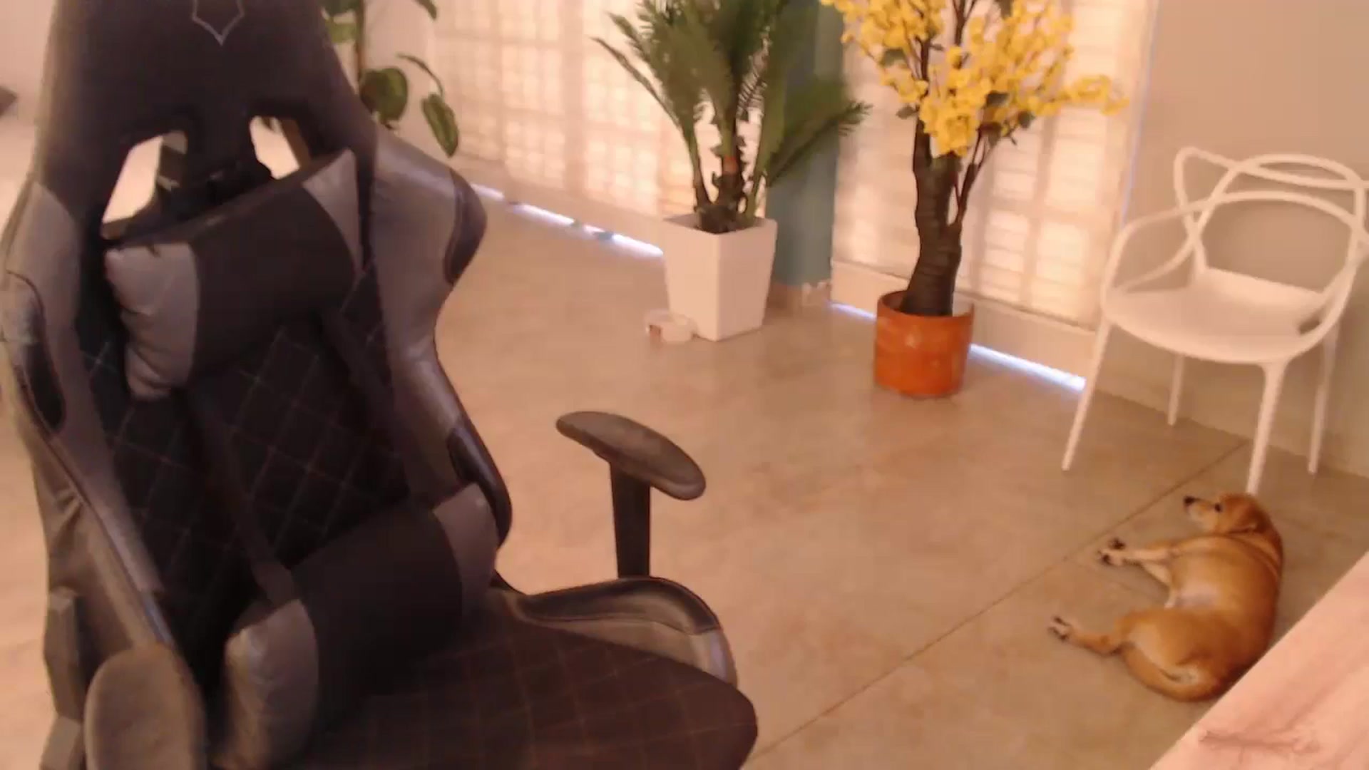 Gallery image thumbnail from AngelaMar's myfreecams stream on, 01/29/2025, 16:45 image 7 of 20