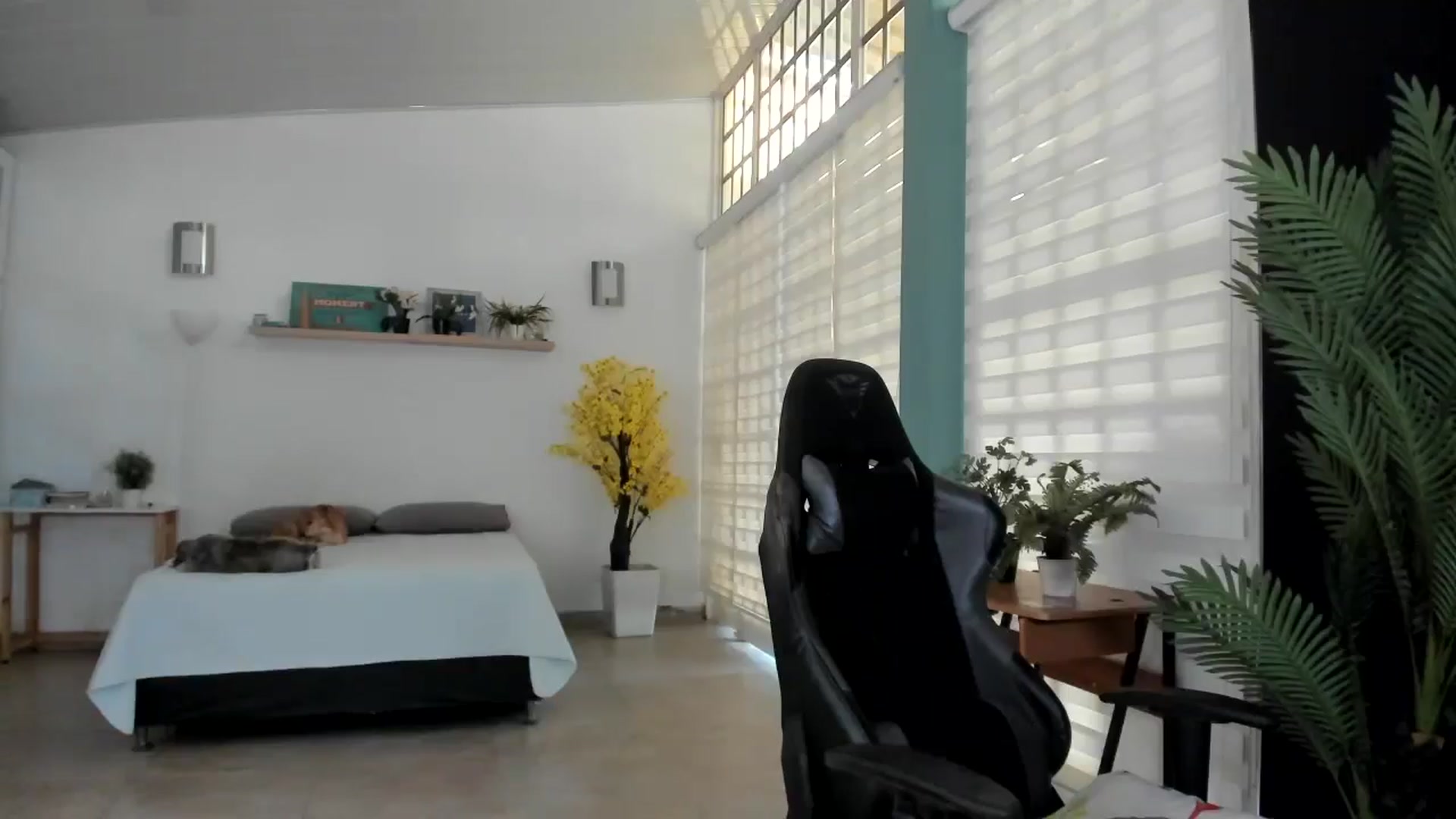 Gallery image thumbnail from AngelaMar's myfreecams stream on, 12/03/2025, 17:22 image 15 of 20