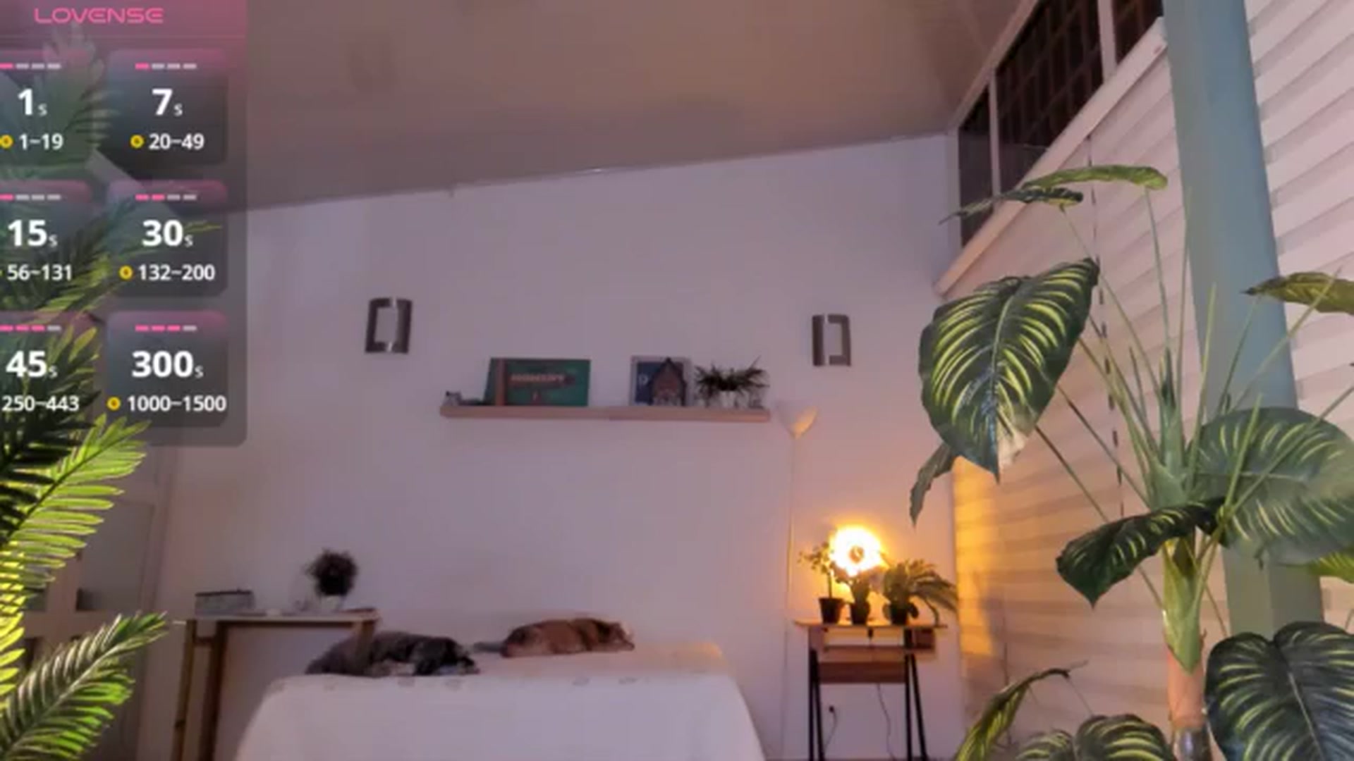 Gallery image thumbnail from AngelaMar's myfreecams stream on, 12/18/2025, 07:22 image 3 of 20