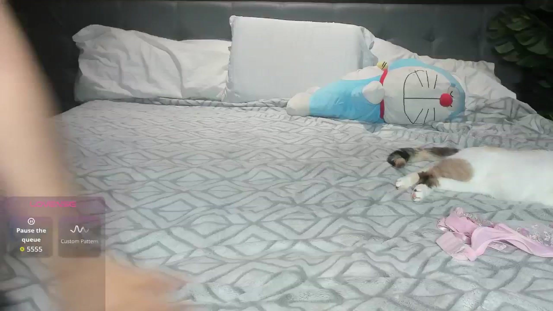 Gallery image thumbnail from Angelacutie's myfreecams stream on, 08/29/2025, 06:04 image 12 of 20