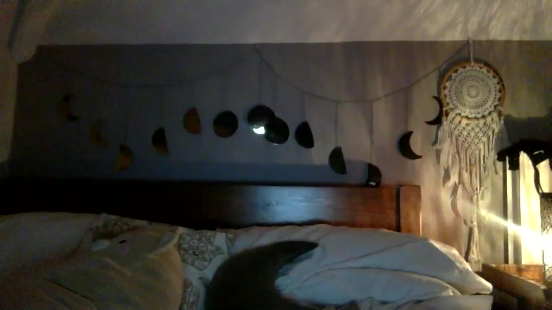 Gallery image thumbnail from Angeleska's myfreecams stream on, 11/19/2024, 20:23 image 8 of 20
