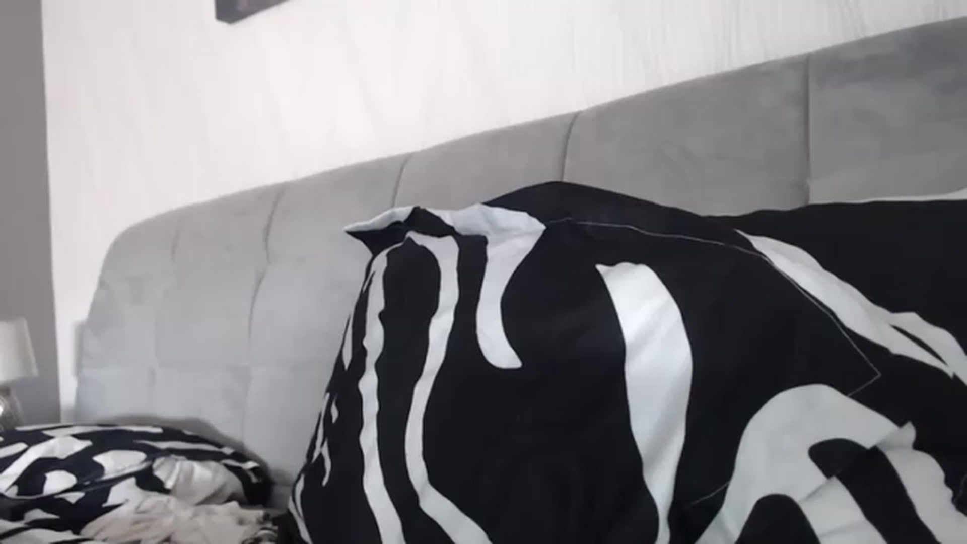 Gallery image thumbnail from Angeleyesblue's myfreecams stream on, 11/22/2022, 12:42 image 4 of 20