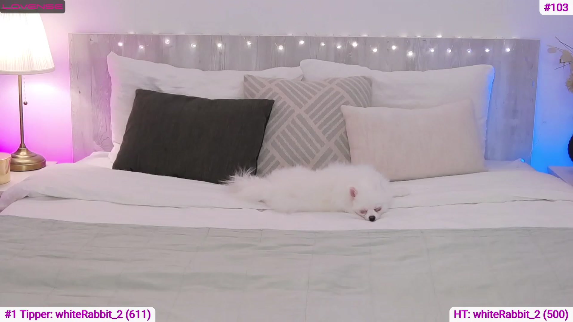 Gallery image thumbnail from Angell_XO's myfreecams stream on, 03/23/2023, 08:38 image 14 of 20