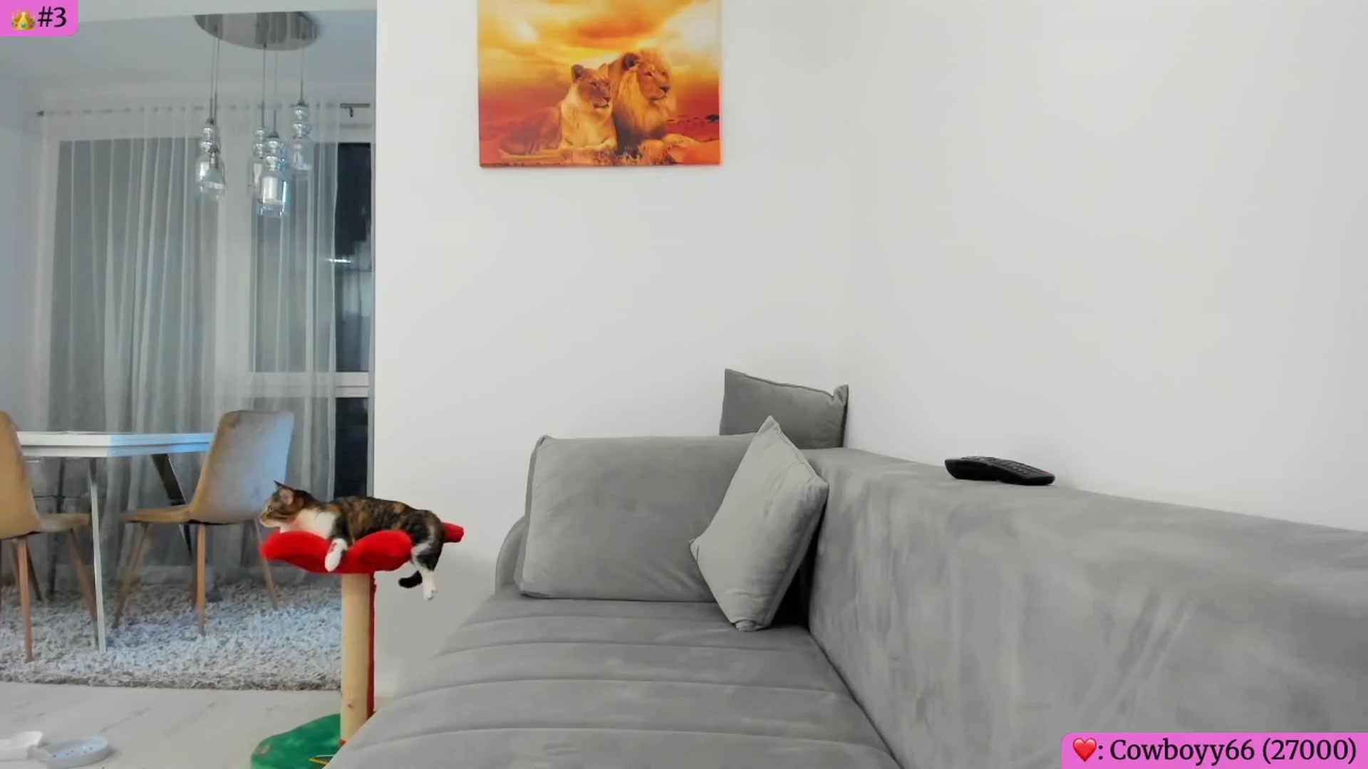 Gallery image thumbnail from Angie's myfreecams stream on, 02/25/2026, 06:10 image 8 of 20