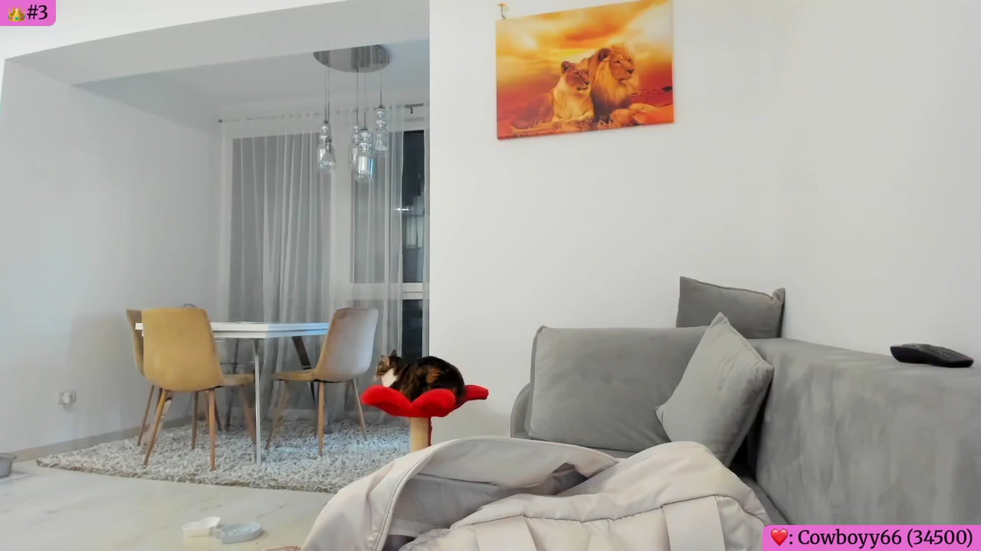 Gallery image thumbnail from Angie's myfreecams stream on, 02/25/2026, 06:10 image 19 of 20