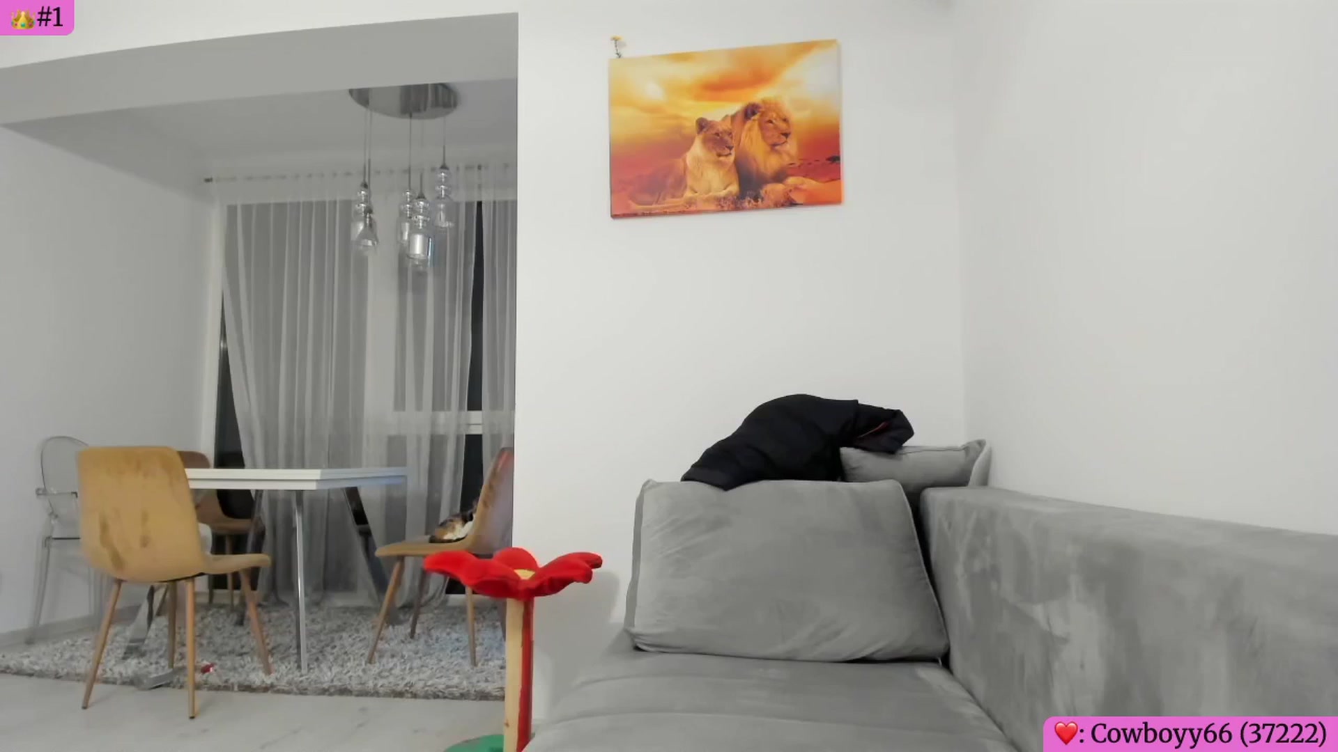 Gallery image thumbnail from Angie's myfreecams stream on, 04/23/2026, 05:25 image 3 of 20