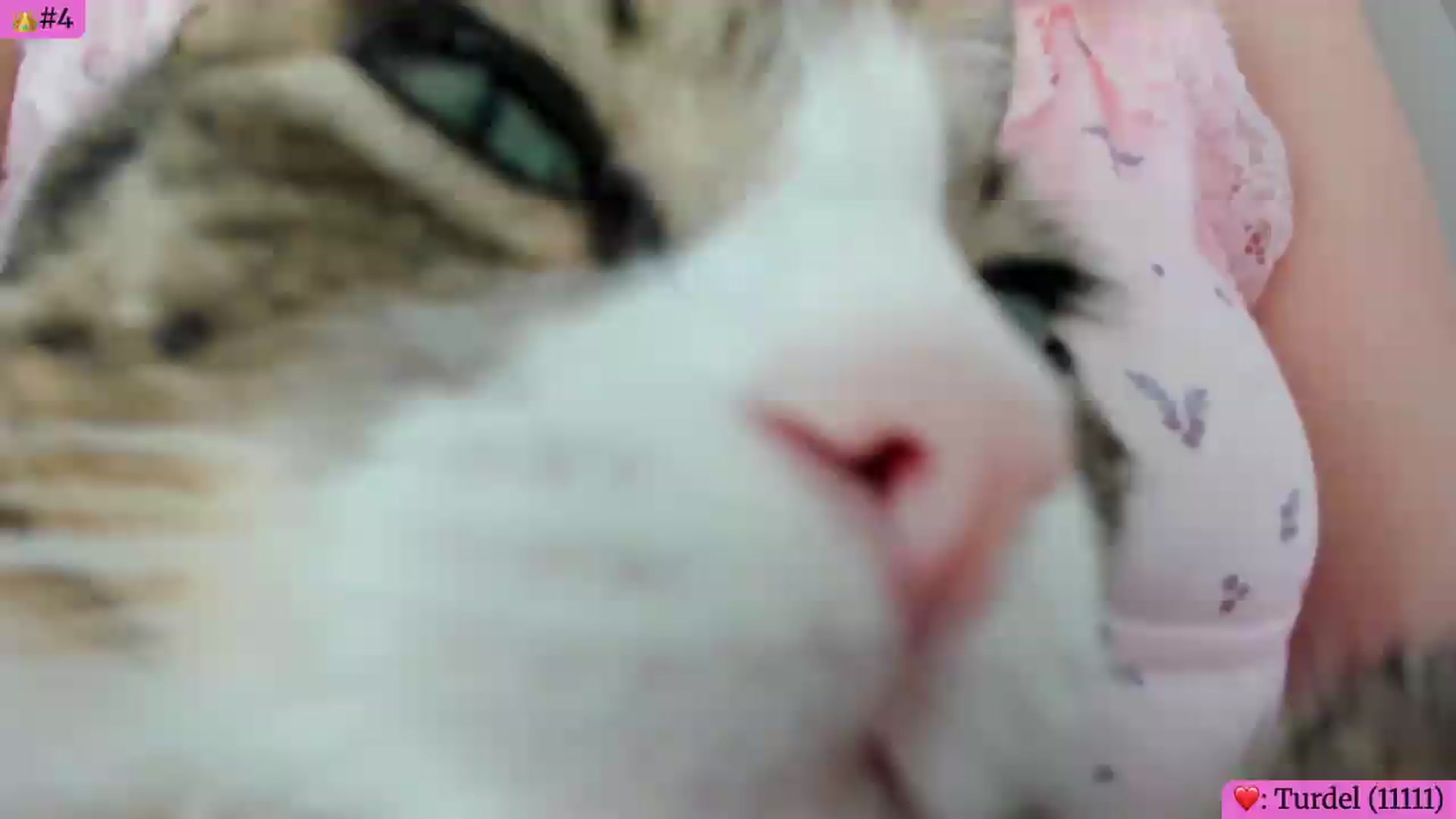 Gallery image thumbnail from Angie's myfreecams stream on, 05/29/2026, 05:46 image 17 of 20