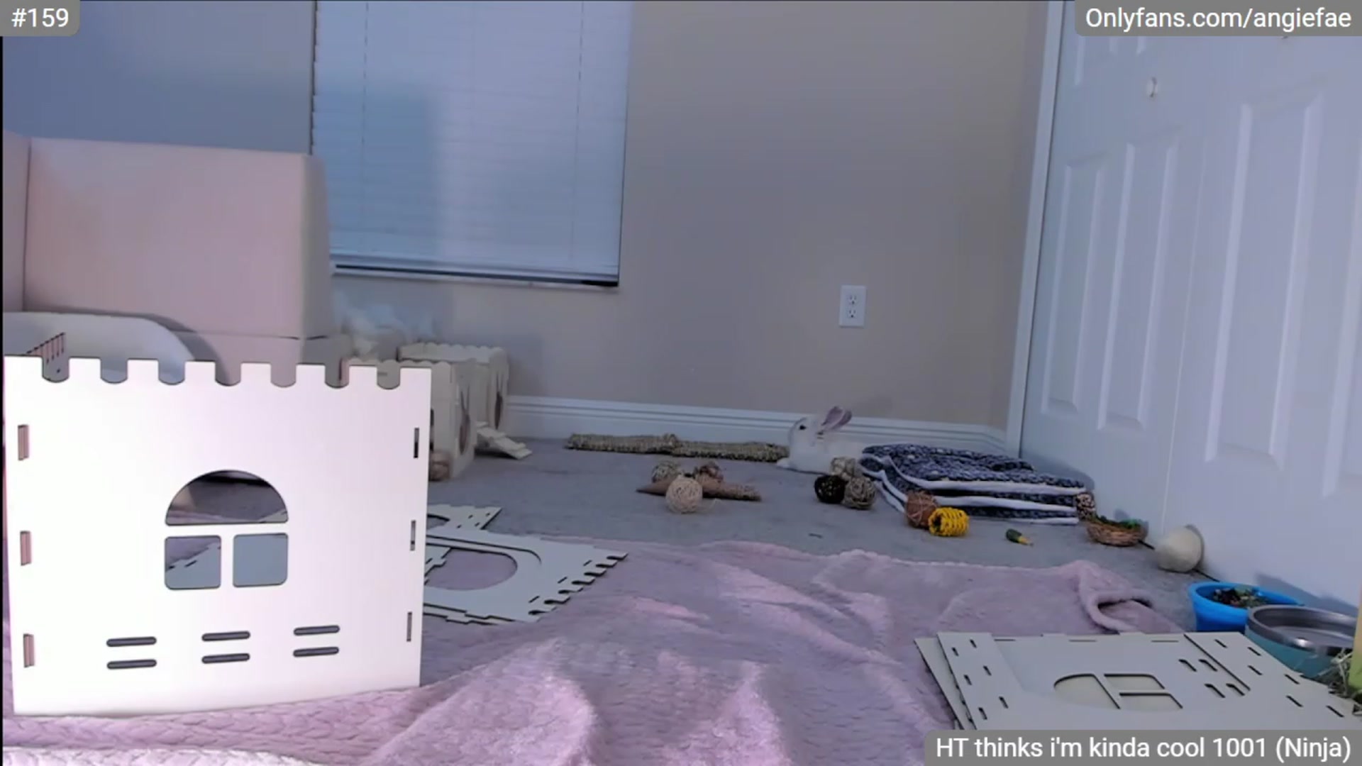 Gallery image thumbnail from AngieFae's myfreecams stream on, 06/20/2023, 03:54 image 6 of 20