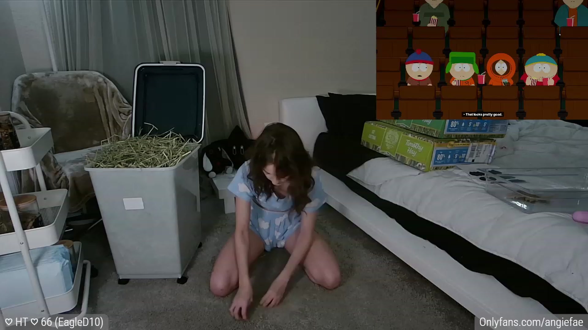 Gallery image thumbnail from AngieFae's myfreecams stream on, 10/23/2023, 07:21 image 10 of 20