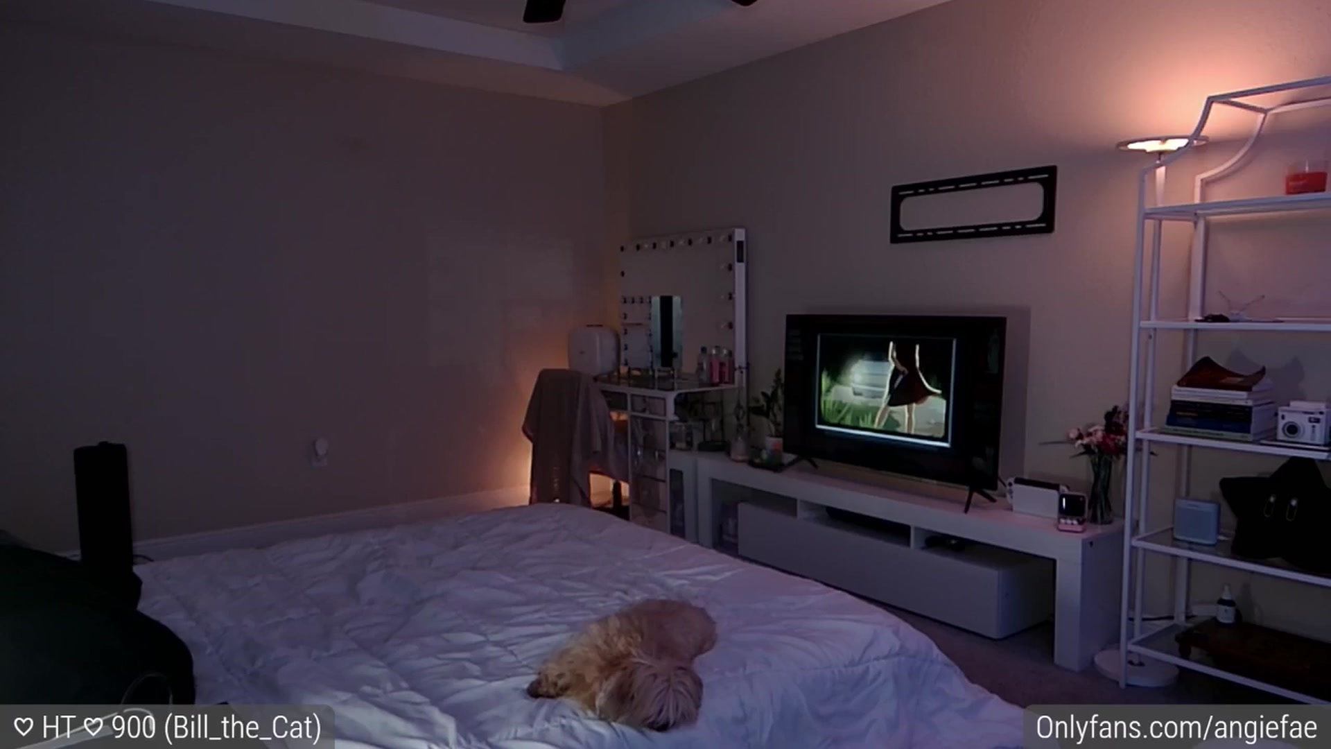 Gallery image thumbnail from AngieFae's myfreecams stream on, 09/04/2024, 03:06 image 17 of 20