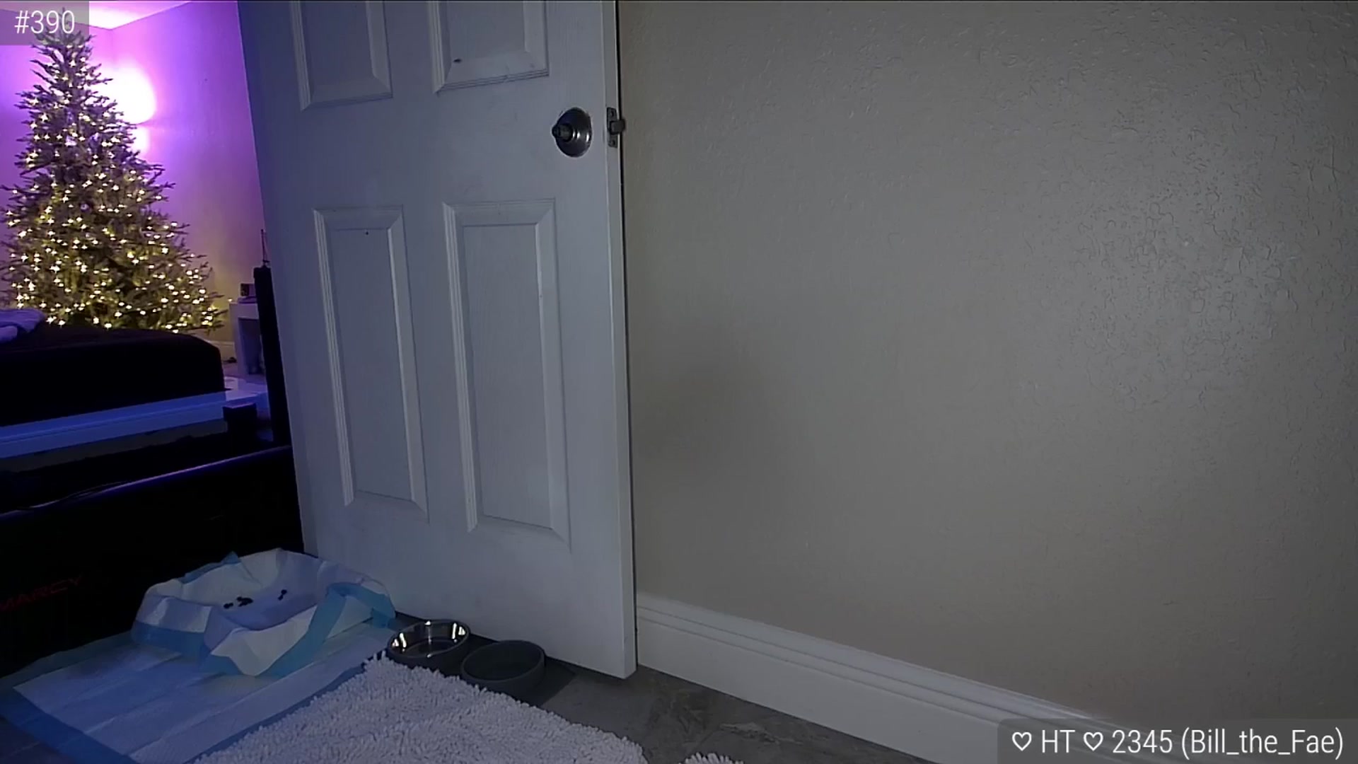 Gallery image thumbnail from AngieFae's myfreecams stream on, 12/07/2024, 08:27 image 18 of 20