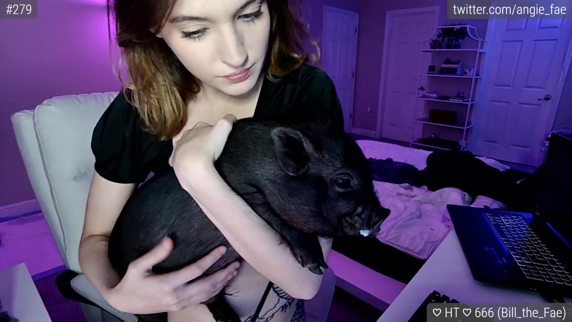 Gallery image thumbnail from AngieFae's myfreecams stream on, 01/13/2025, 07:19 image 11 of 20