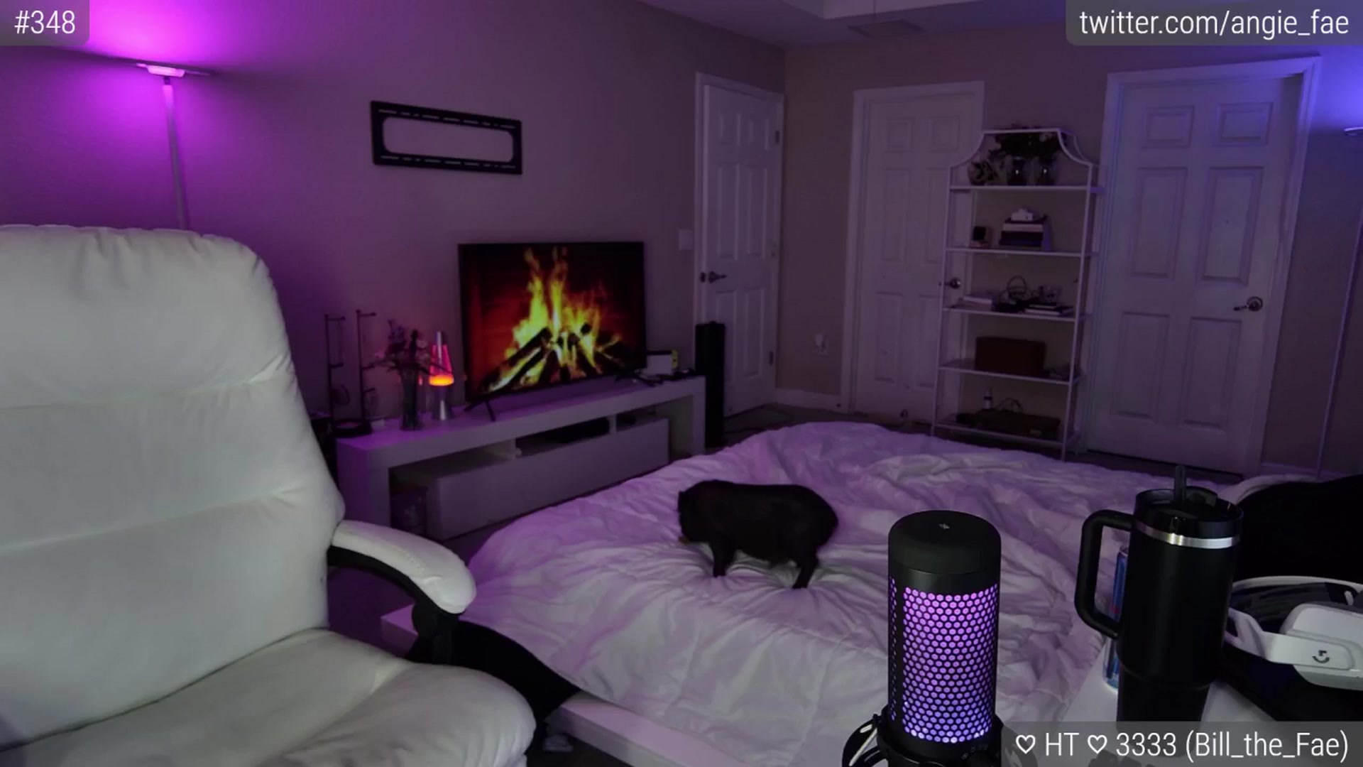 Gallery image thumbnail from AngieFae's myfreecams stream on, 01/19/2025, 04:33 image 3 of 20