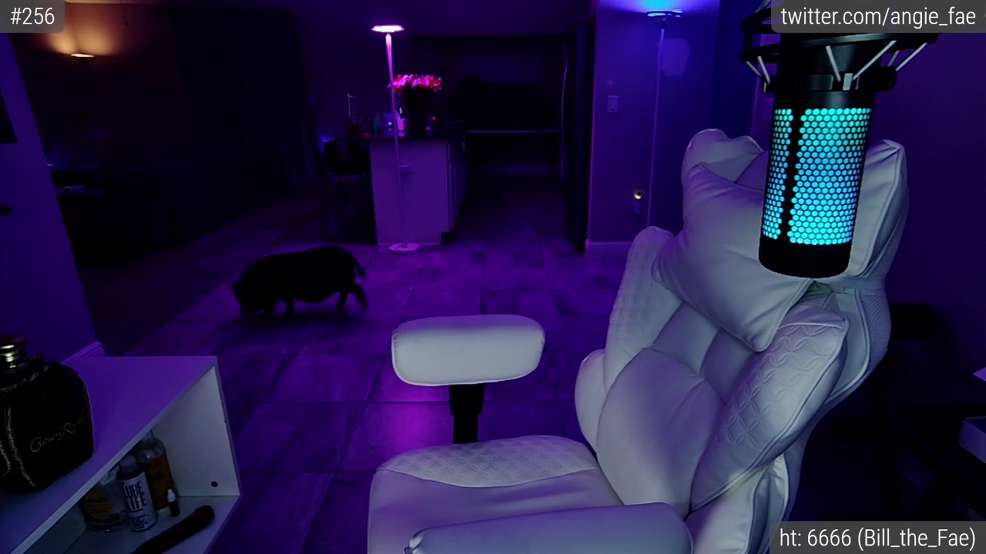 Gallery image thumbnail from AngieFae's myfreecams stream on, 06/28/2025, 04:20 image 2 of 20