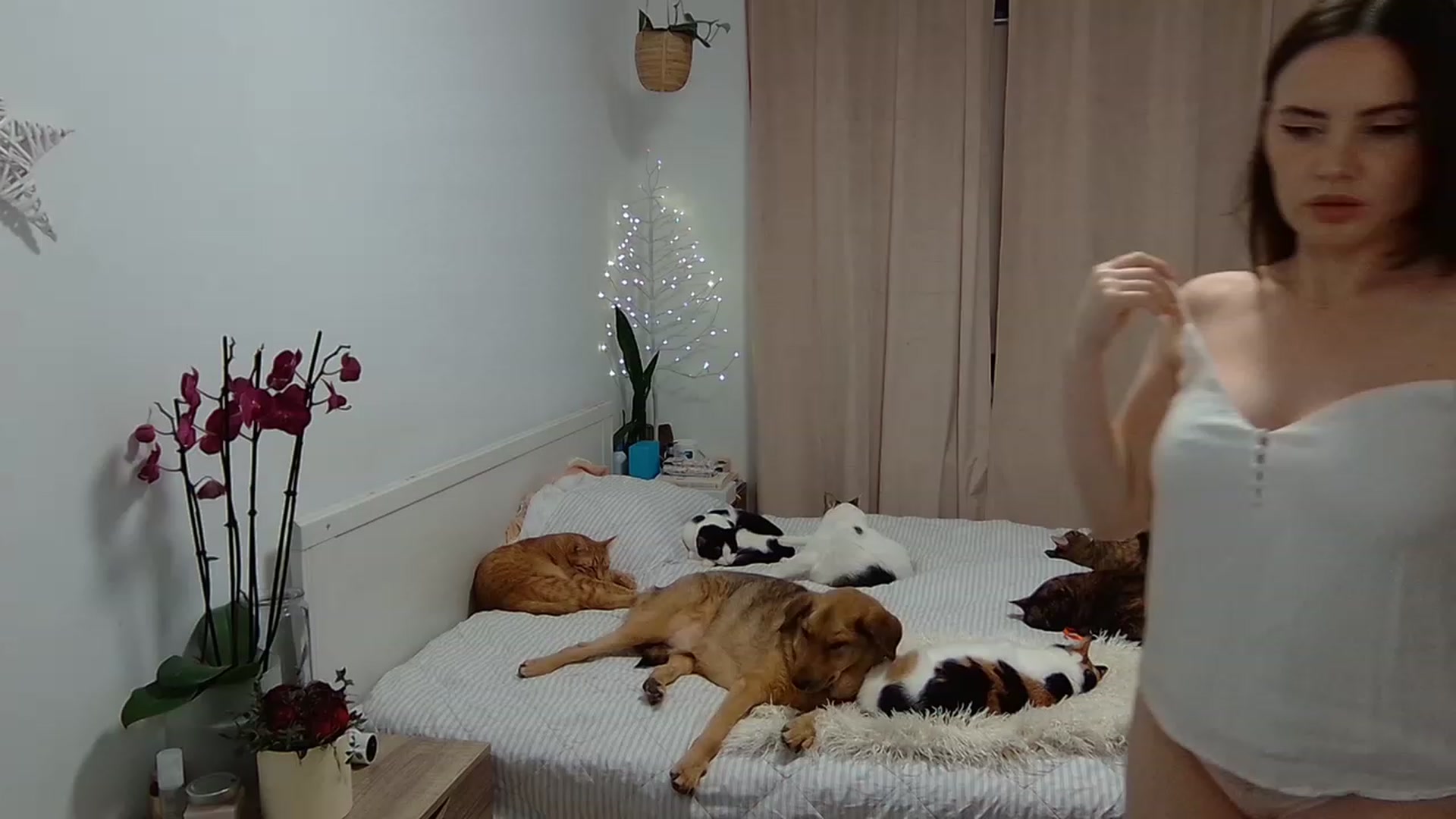 Gallery image thumbnail from AngieMeow's myfreecams stream on, 02/18/2023, 22:17 image 12 of 20