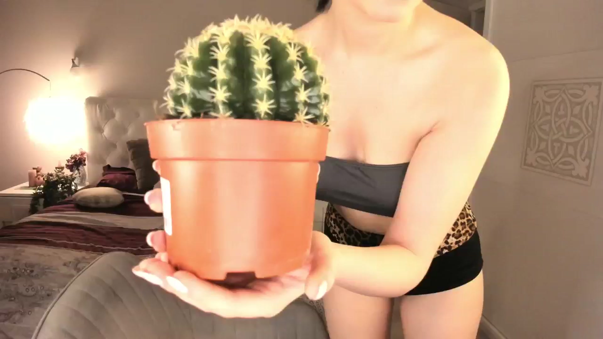 Gallery image thumbnail from Angieerosee's myfreecams stream on, 07/01/2025, 19:54 image 15 of 20