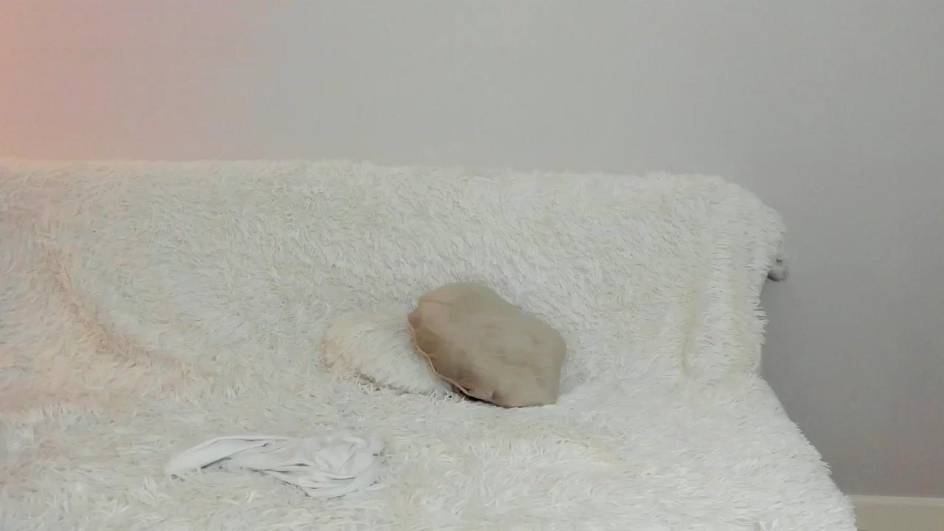 Gallery image thumbnail from Angieerosee's myfreecams stream on, 09/23/2025, 04:46 image 5 of 20