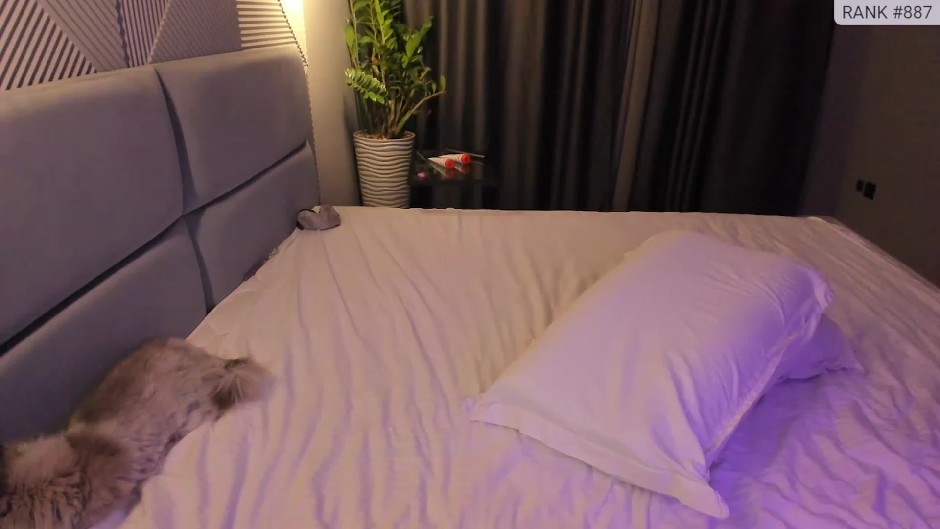 Gallery image thumbnail from AngryKat's myfreecams stream on, 11/17/2022, 02:57 image 20 of 20