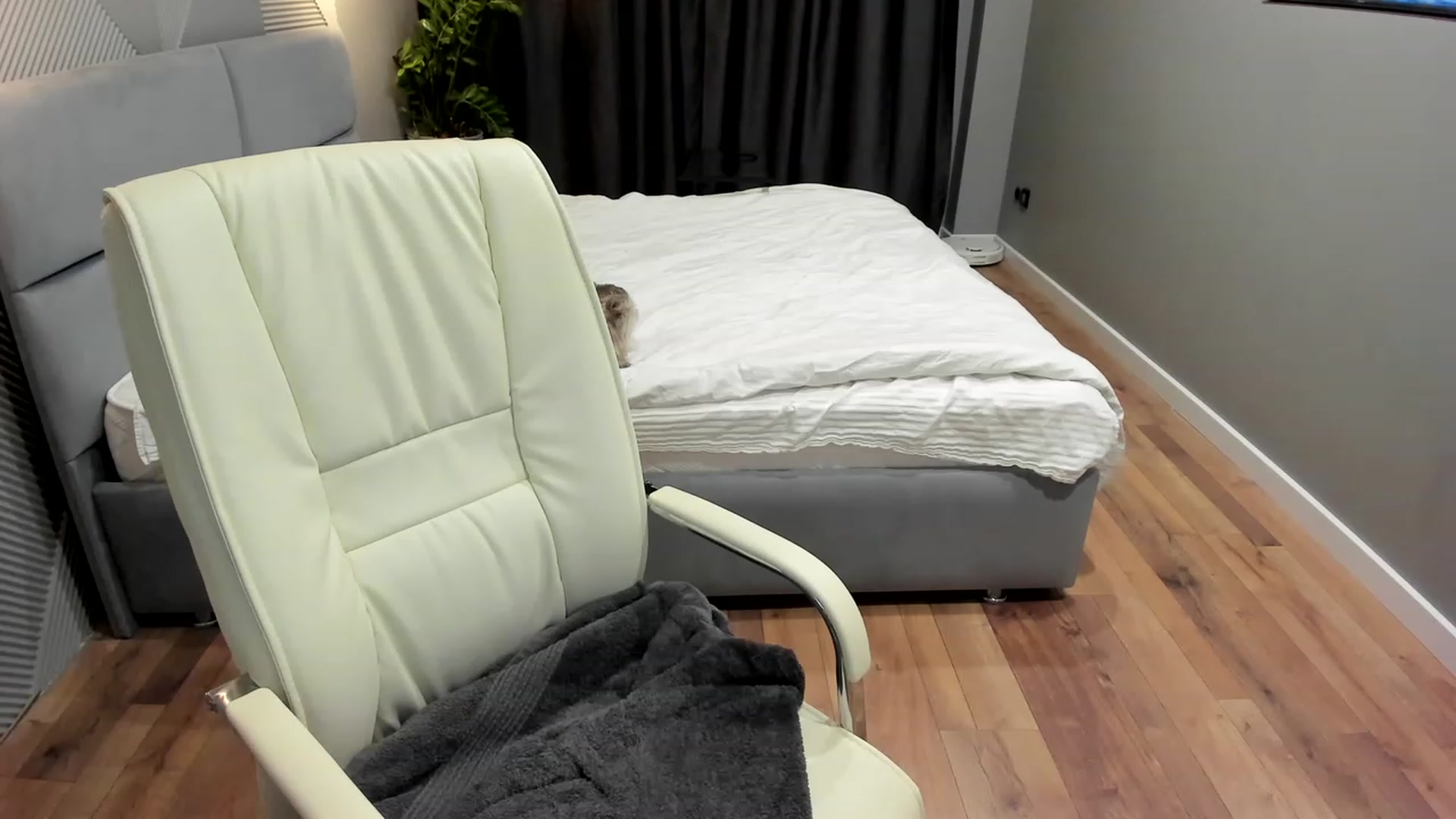 Gallery image thumbnail from AngryKat's myfreecams stream on, 04/01/2023, 19:37 image 5 of 20