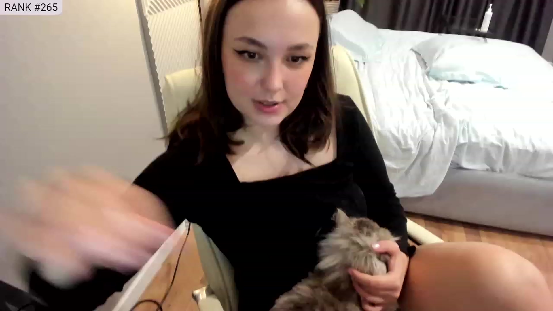 Gallery image thumbnail from AngryKat's myfreecams stream on, 05/27/2023, 21:22 image 19 of 20