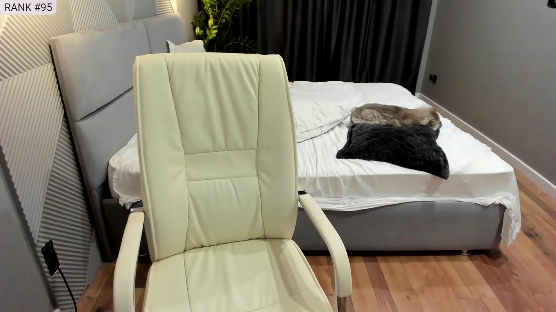 Gallery image thumbnail from AngryKat's myfreecams stream on, 06/02/2023, 21:12 image 16 of 20