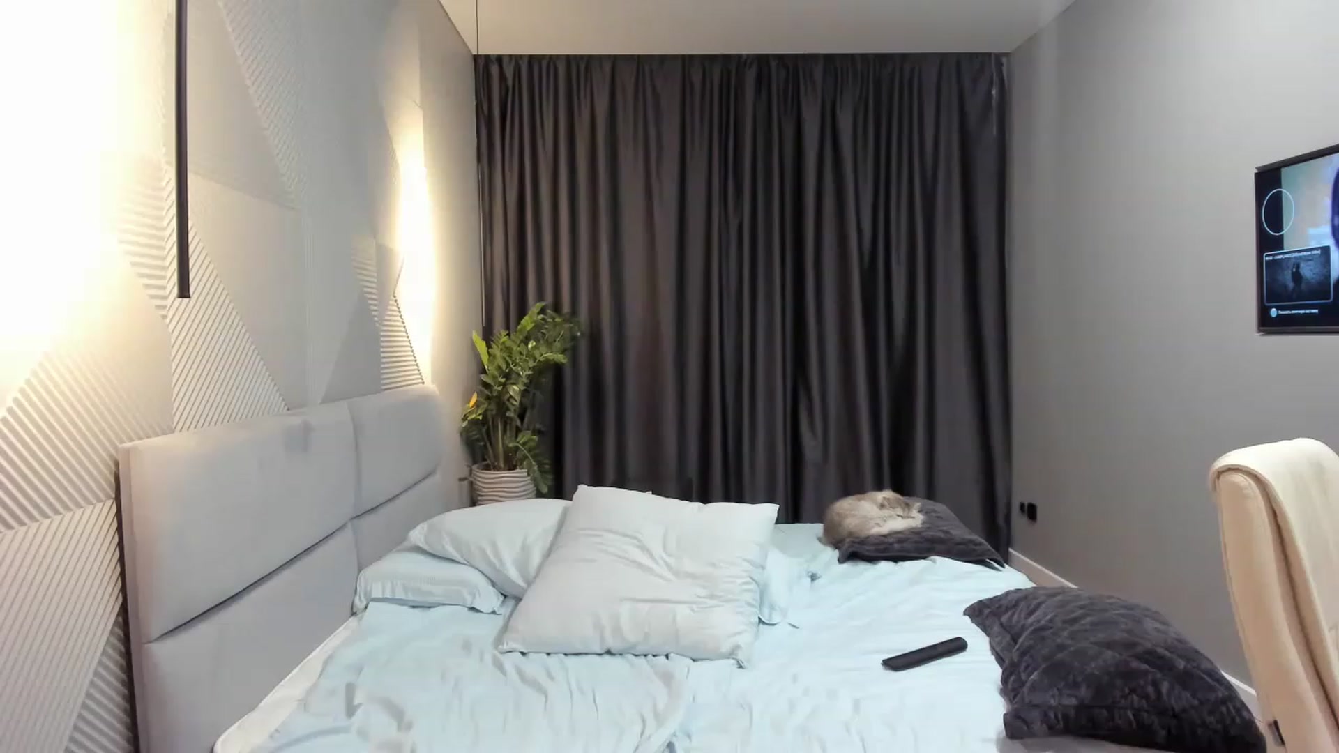 Gallery image thumbnail from AngryKat's myfreecams stream on, 06/13/2023, 21:05 image 15 of 20