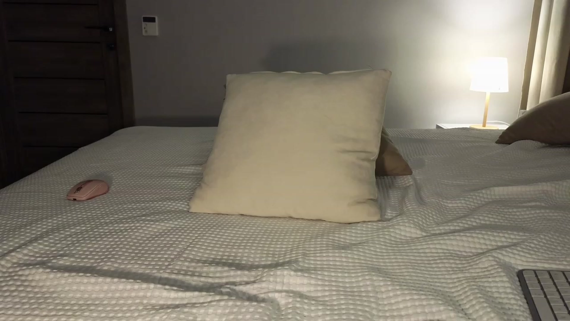 Gallery image thumbnail from AniButler's myfreecams stream on, 02/28/2023, 17:43 image 1 of 20