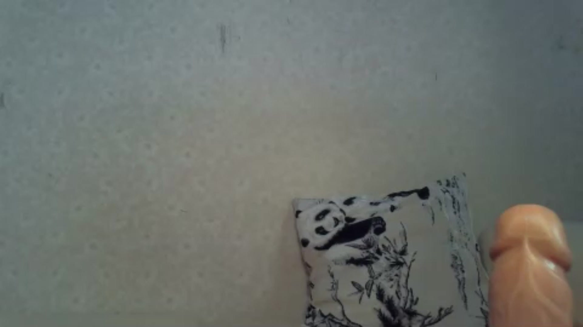 Gallery image thumbnail from AniCute's myfreecams stream on, 04/25/2024, 09:44 image 16 of 20