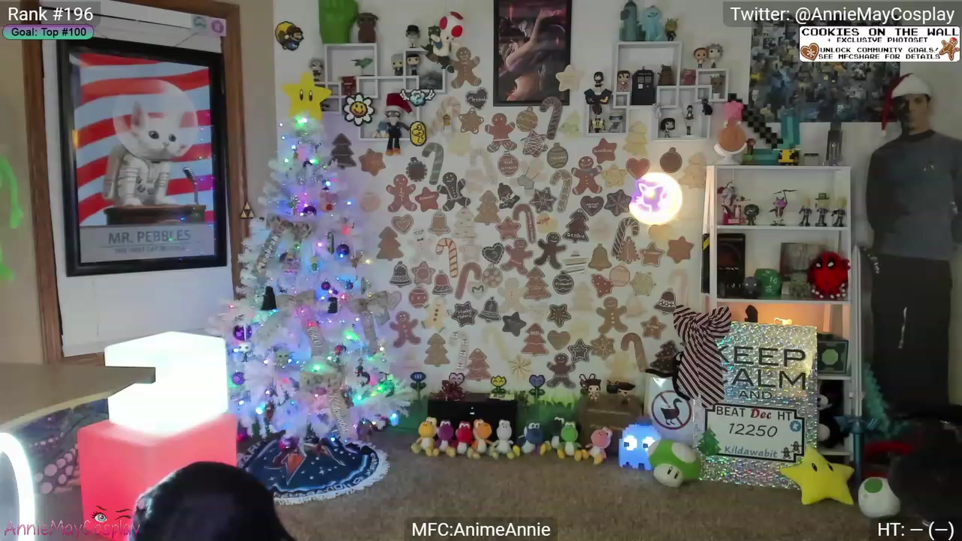 Gallery image thumbnail from AnimeAnnie's myfreecams stream on, 12/14/2023, 02:04 image 15 of 20