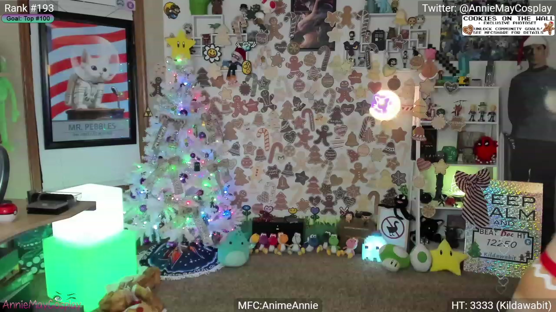 Gallery image thumbnail from AnimeAnnie's myfreecams stream on, 12/22/2023, 04:34 image 7 of 20