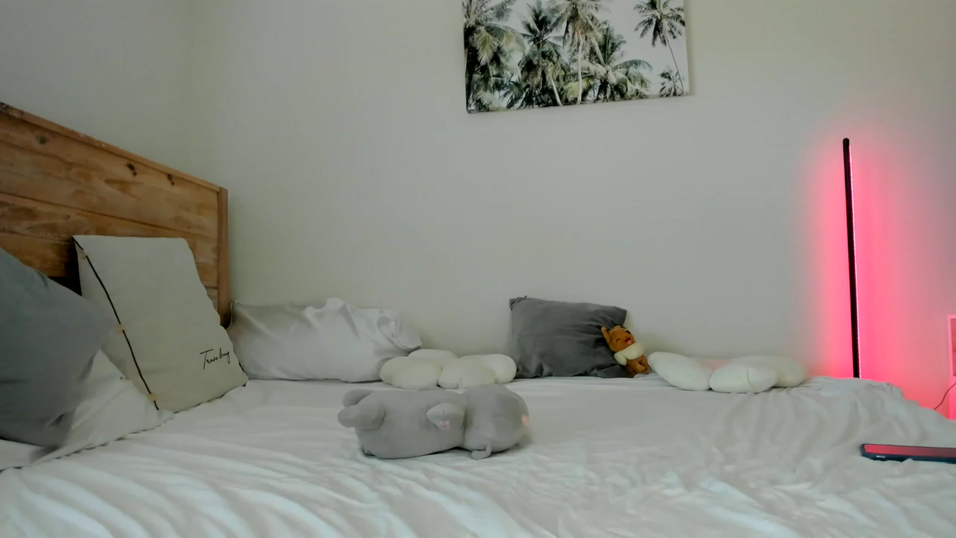 Gallery image thumbnail from AnimeAva's myfreecams stream on, 01/31/2023, 18:10 image 1 of 20