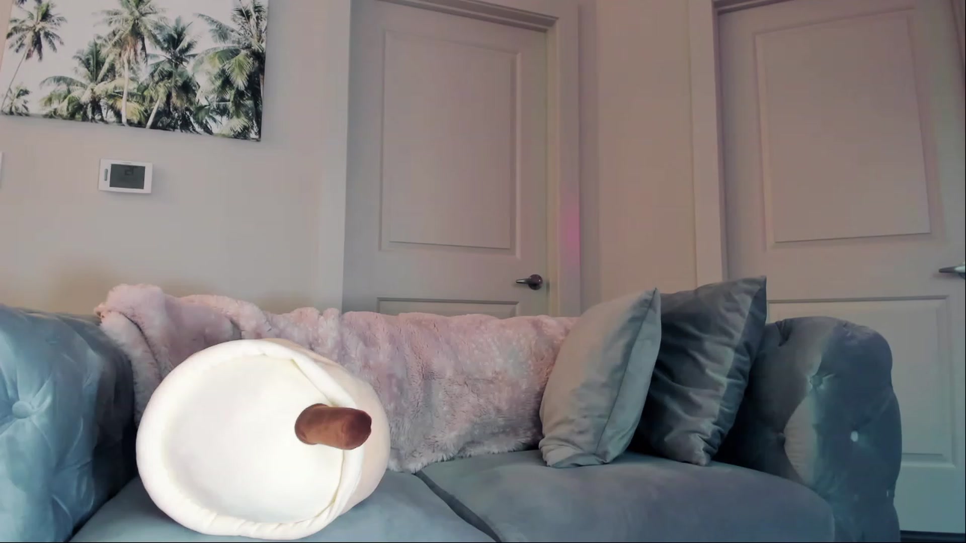 Gallery image thumbnail from AnimeAva's myfreecams stream on, 05/26/2023, 21:08 image 8 of 20