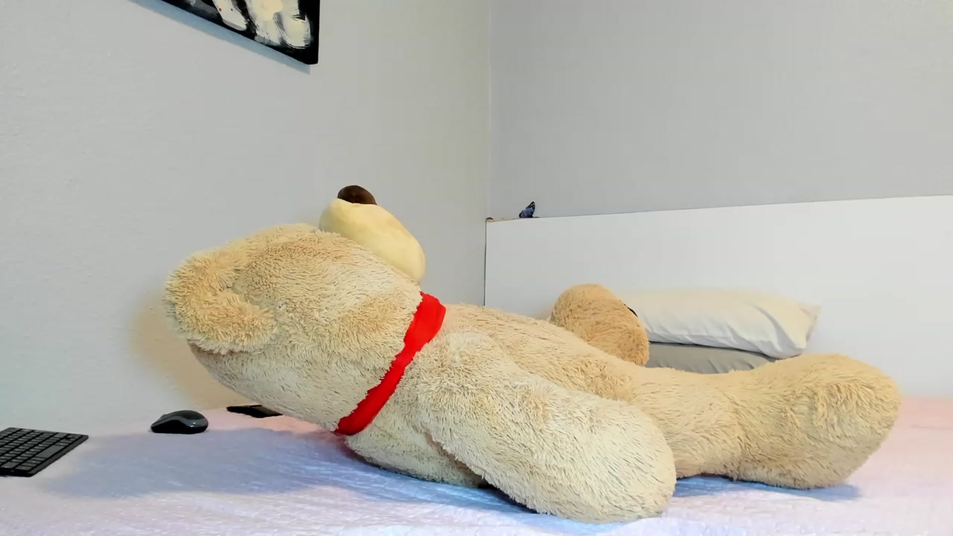 Gallery image thumbnail from AnisiaLuna's myfreecams stream on, 02/21/2024, 09:17 image 15 of 20