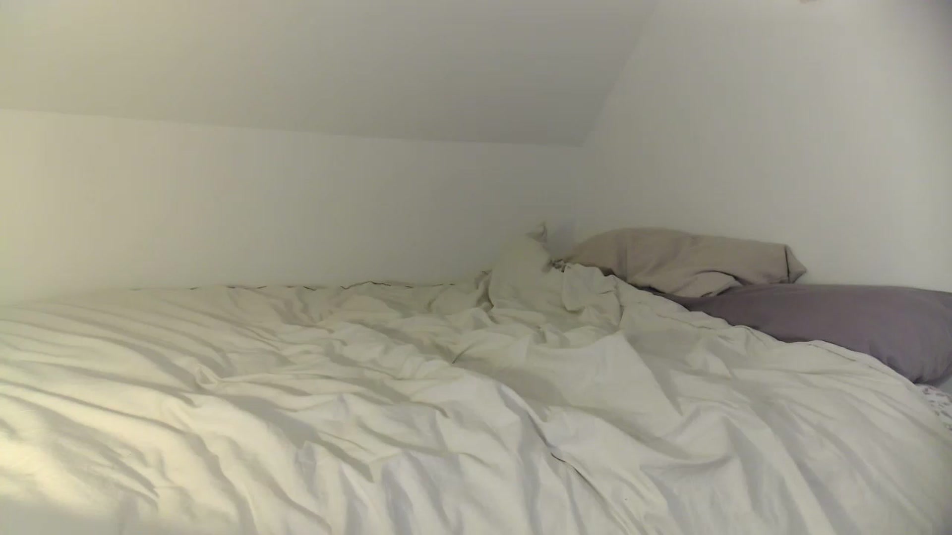Gallery image thumbnail from AnitaOrgasm's myfreecams stream on, 11/17/2022, 02:30 image 13 of 20