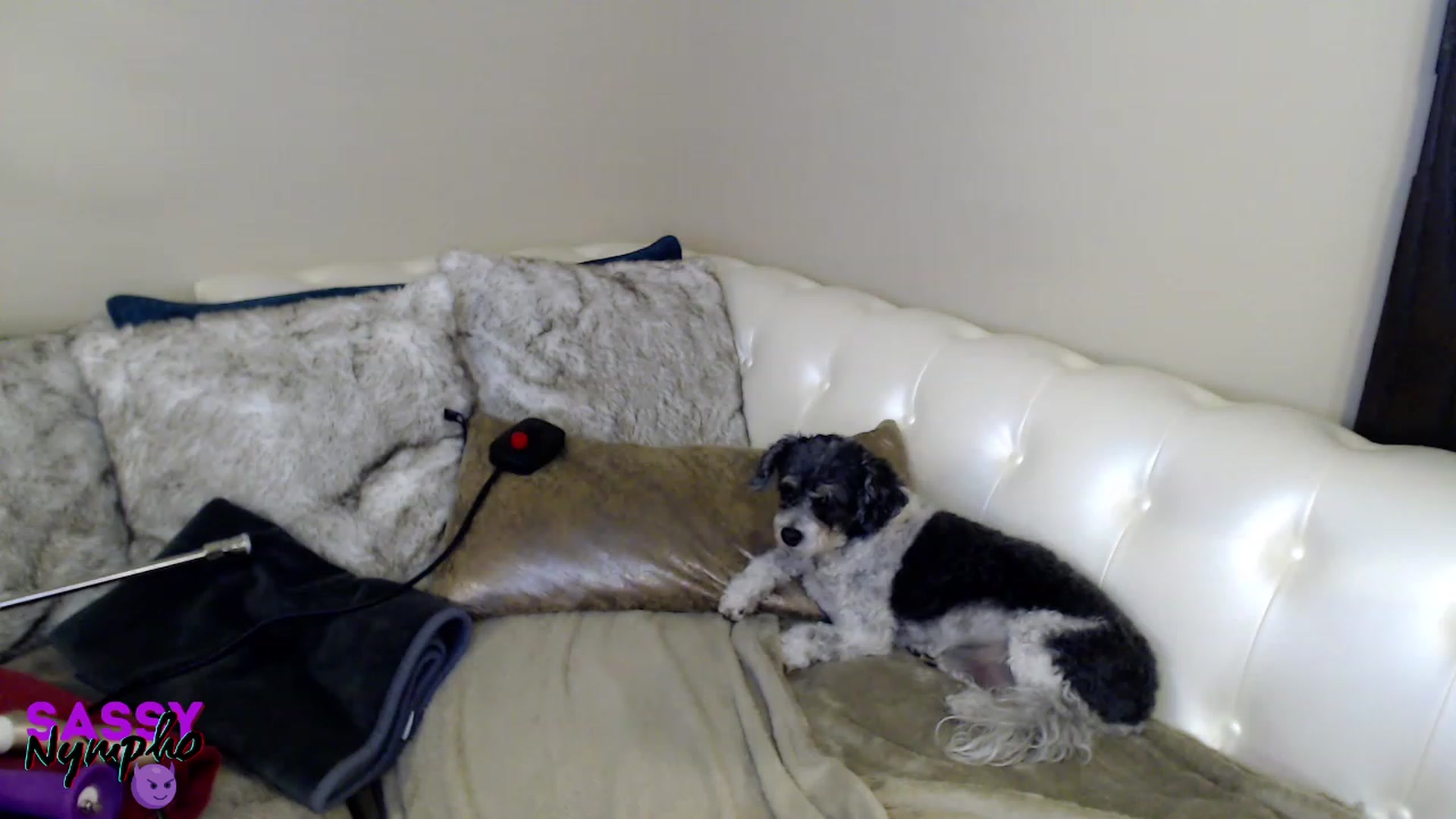 Gallery image thumbnail from Anita_Dikenme's myfreecams stream on, 01/29/2023, 16:57 image 4 of 20