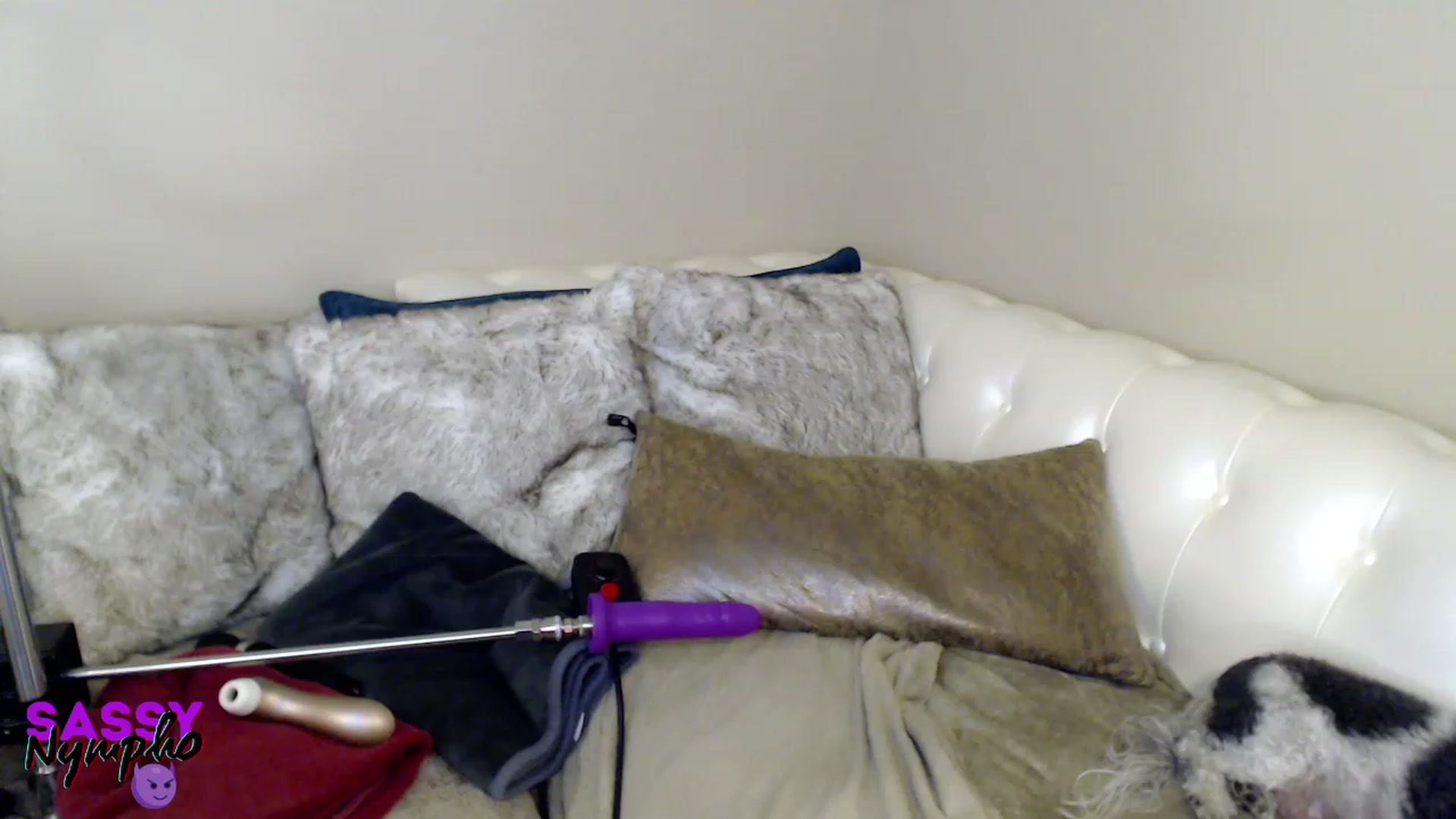 Gallery image thumbnail from Anita_Dikenme's myfreecams stream on, 01/29/2023, 16:57 image 17 of 20