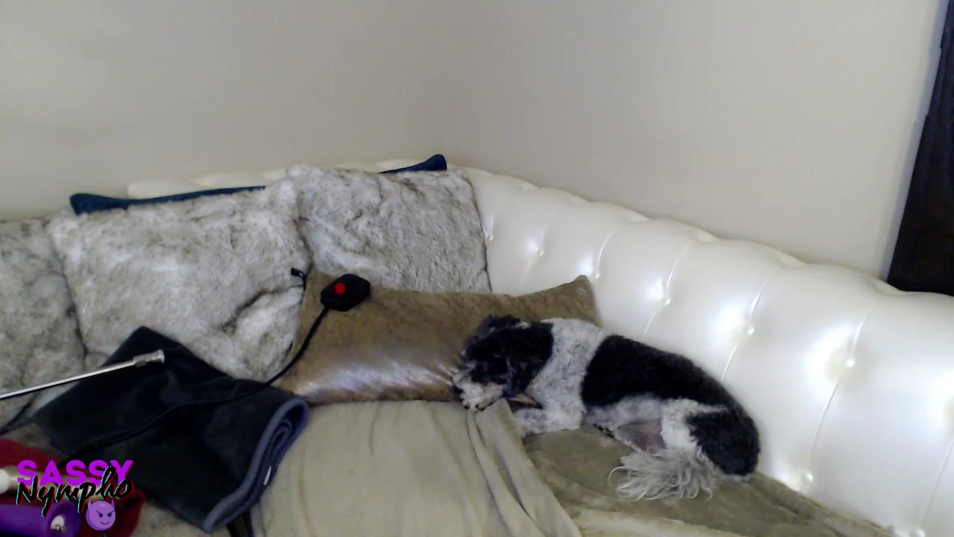 Gallery image thumbnail from Anita_Dikenme's myfreecams stream on, 01/29/2023, 16:57 image 5 of 20