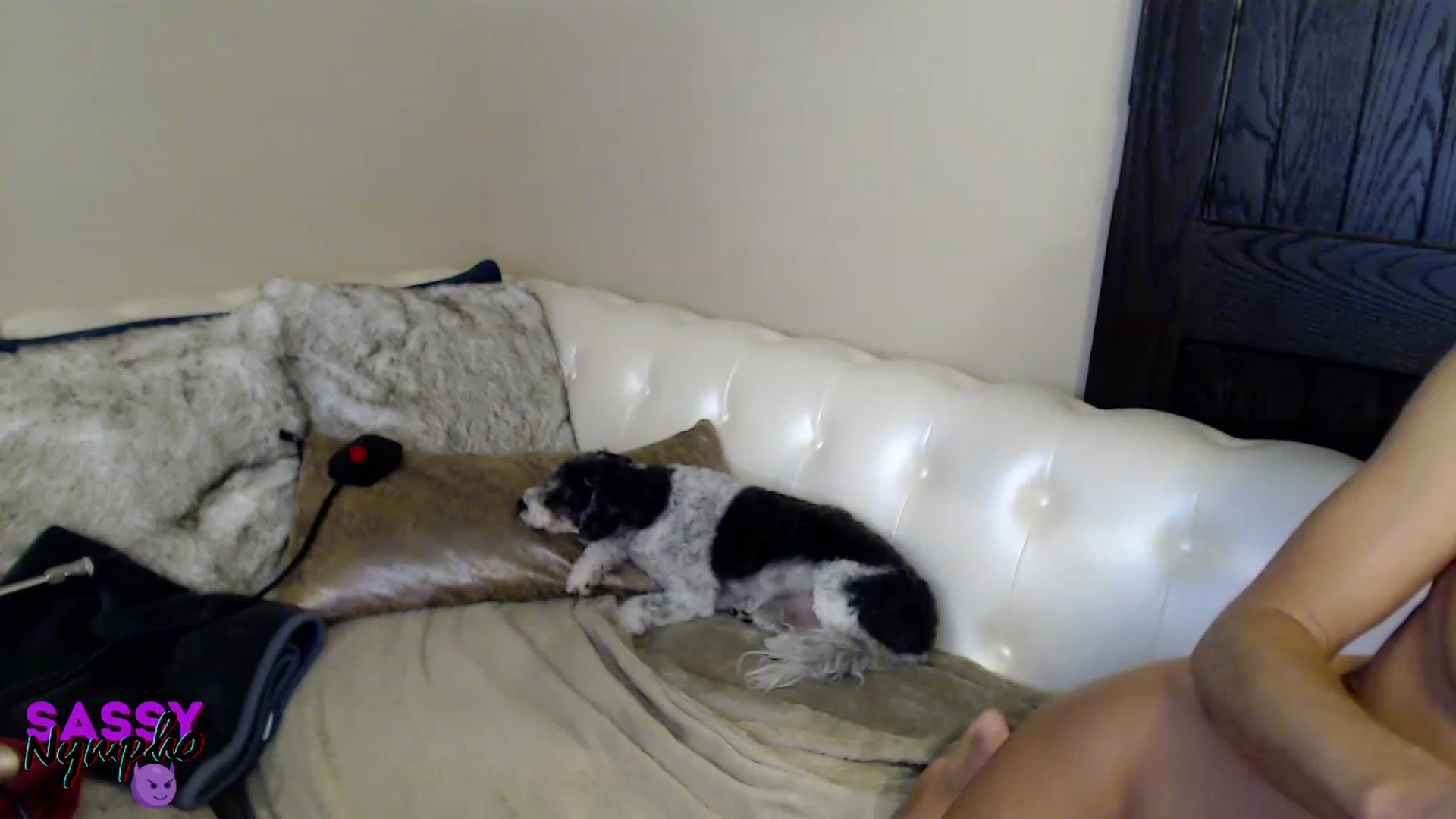 Gallery image thumbnail from Anita_Dikenme's myfreecams stream on, 01/29/2023, 16:57 image 1 of 20