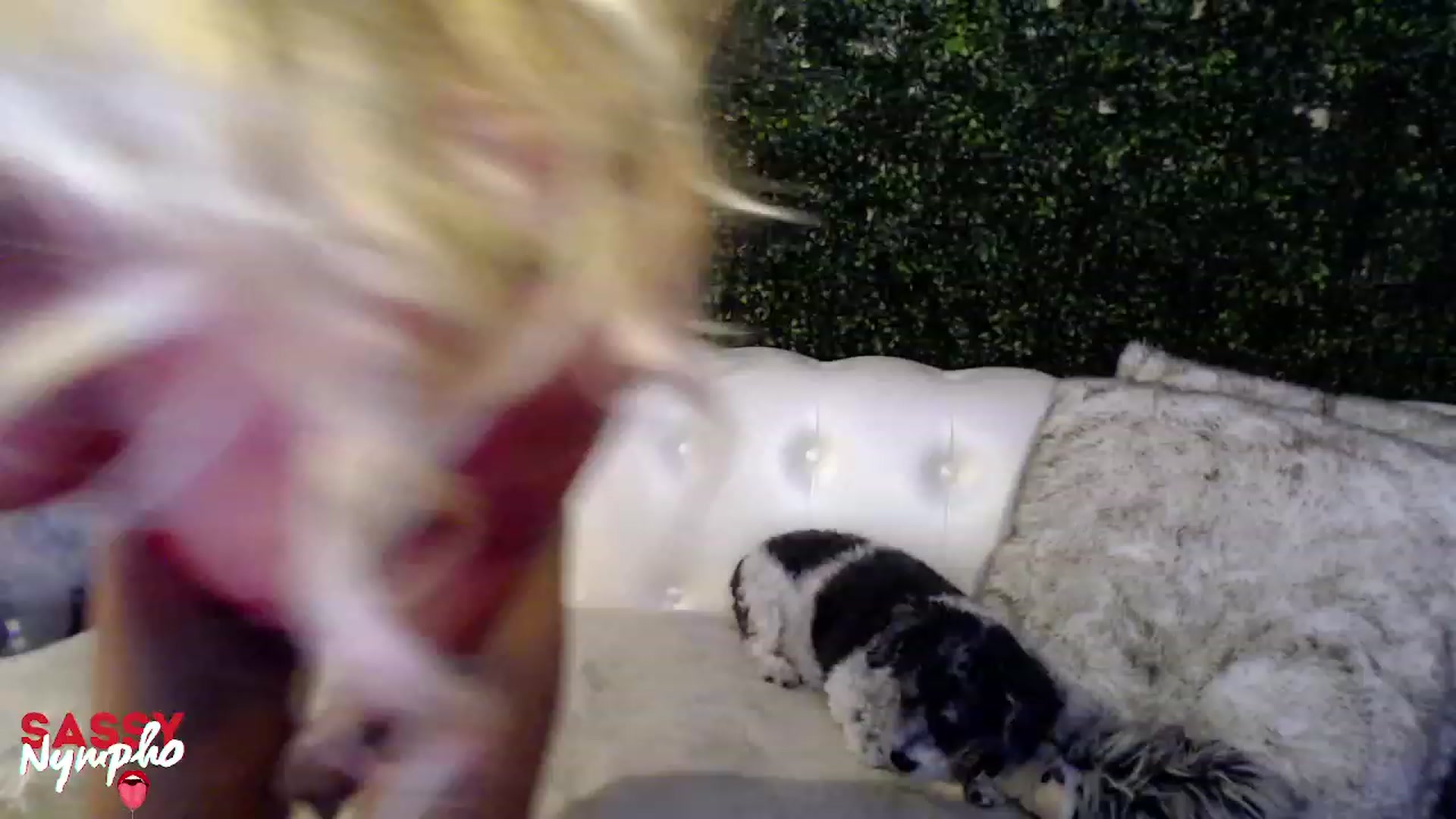 Gallery image thumbnail from Anita_Dikenme's myfreecams stream on, 07/15/2023, 16:26 image 10 of 20