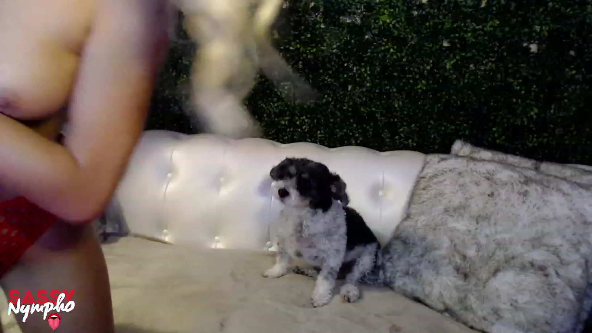 Gallery image thumbnail from Anita_Dikenme's myfreecams stream on, 07/15/2023, 16:26 image 5 of 20