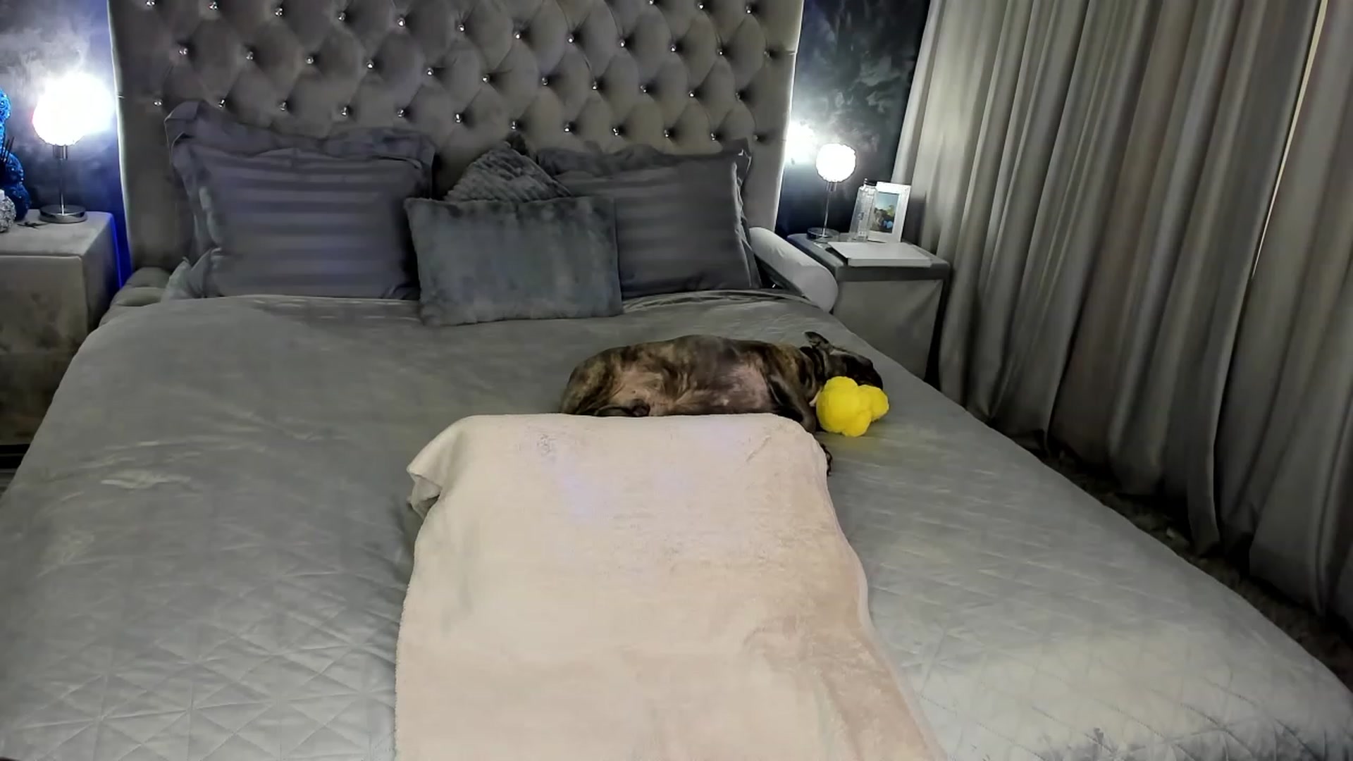 Gallery image thumbnail from AnnaBabe66's myfreecams stream on, 03/06/2024, 11:32 image 13 of 20
