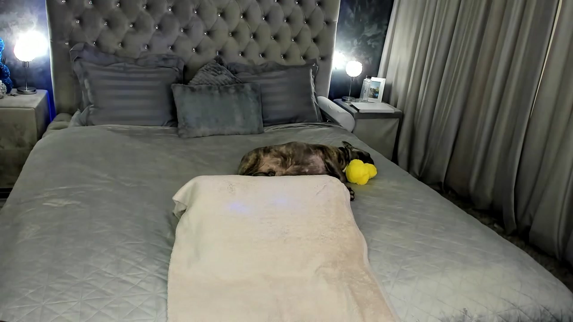 Gallery image thumbnail from AnnaBabe66's myfreecams stream on, 03/06/2024, 11:32 image 14 of 20